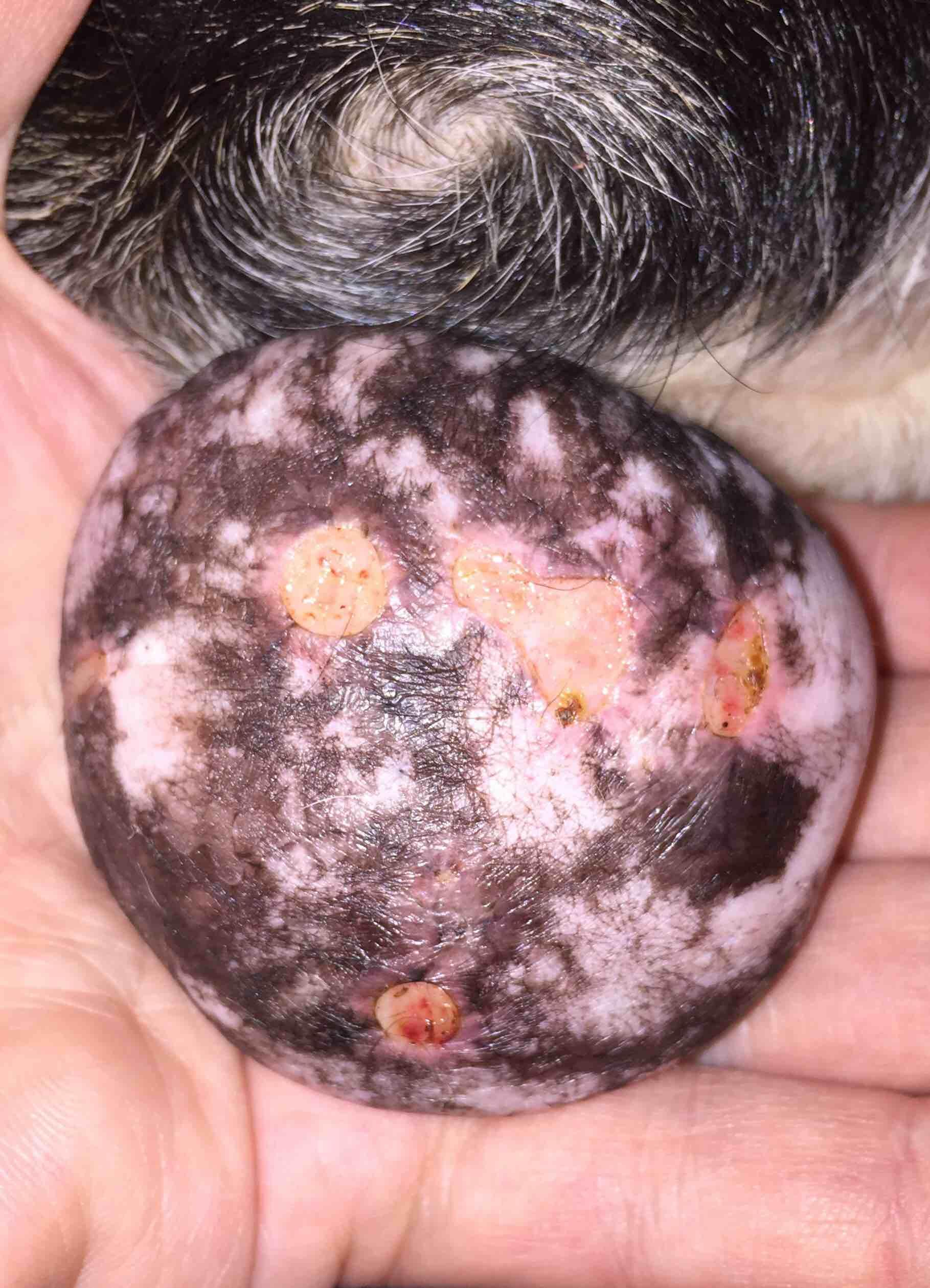 Question details sensitive content