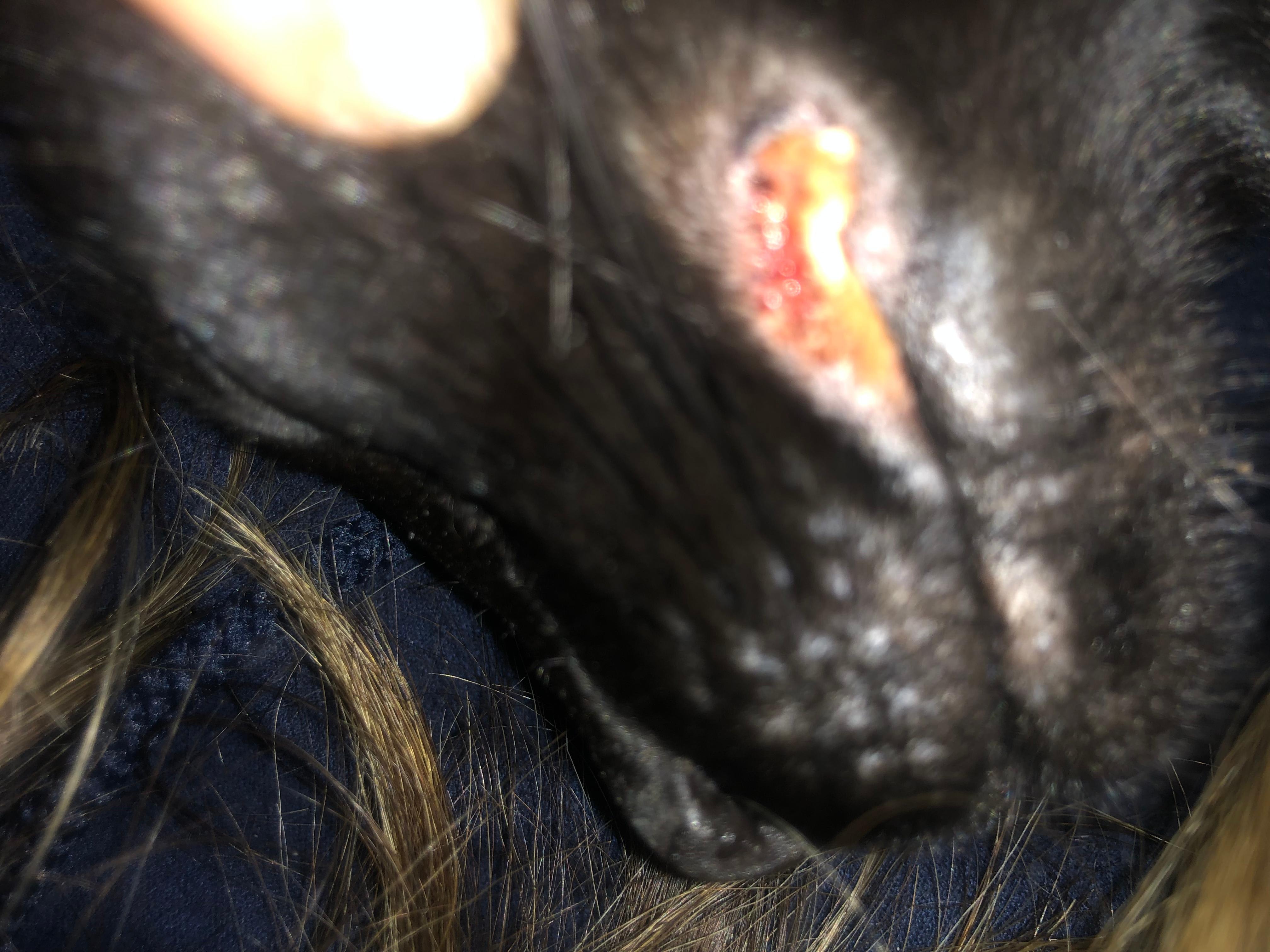 Question details sensitive content