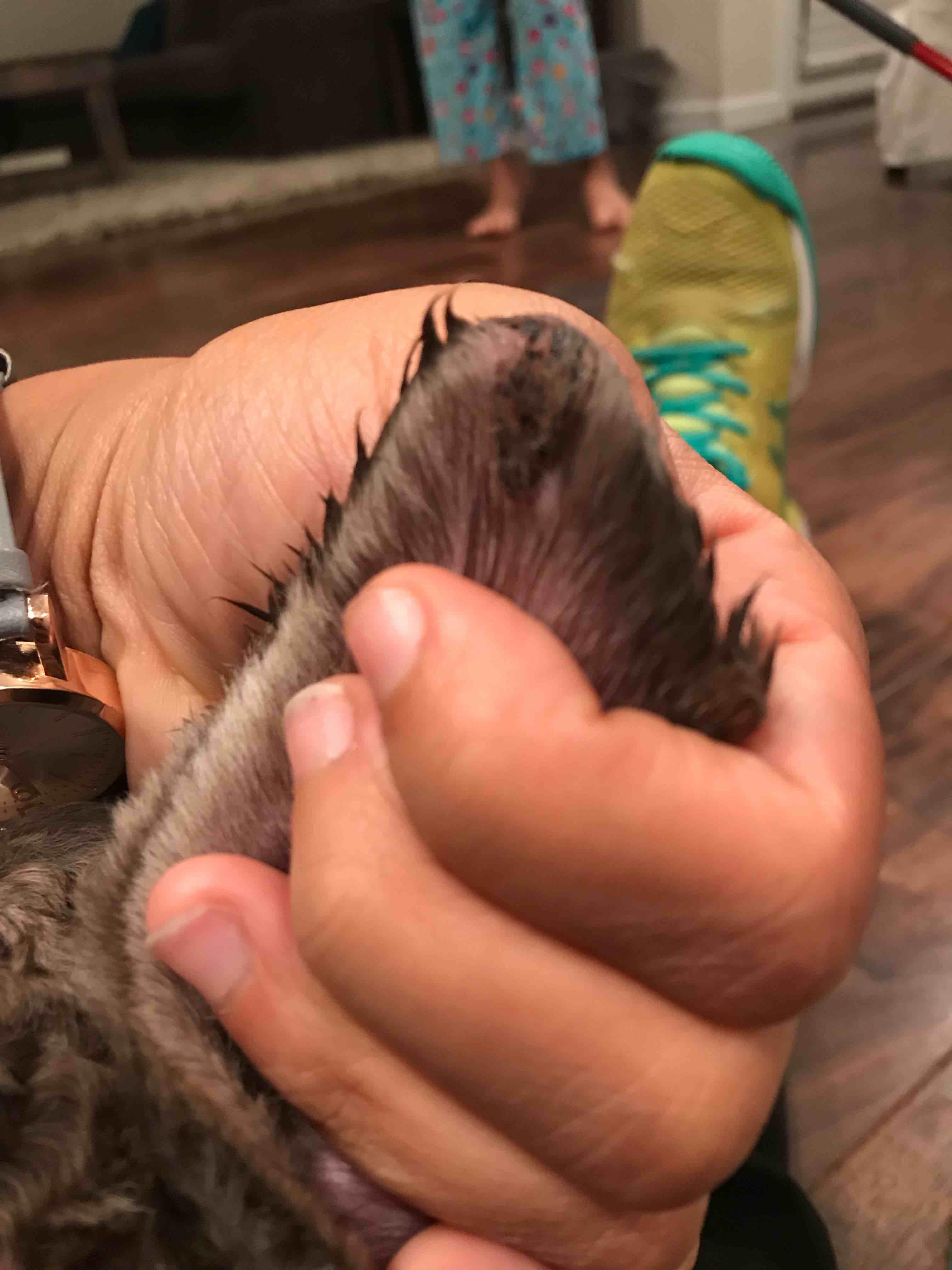 Question details sensitive content