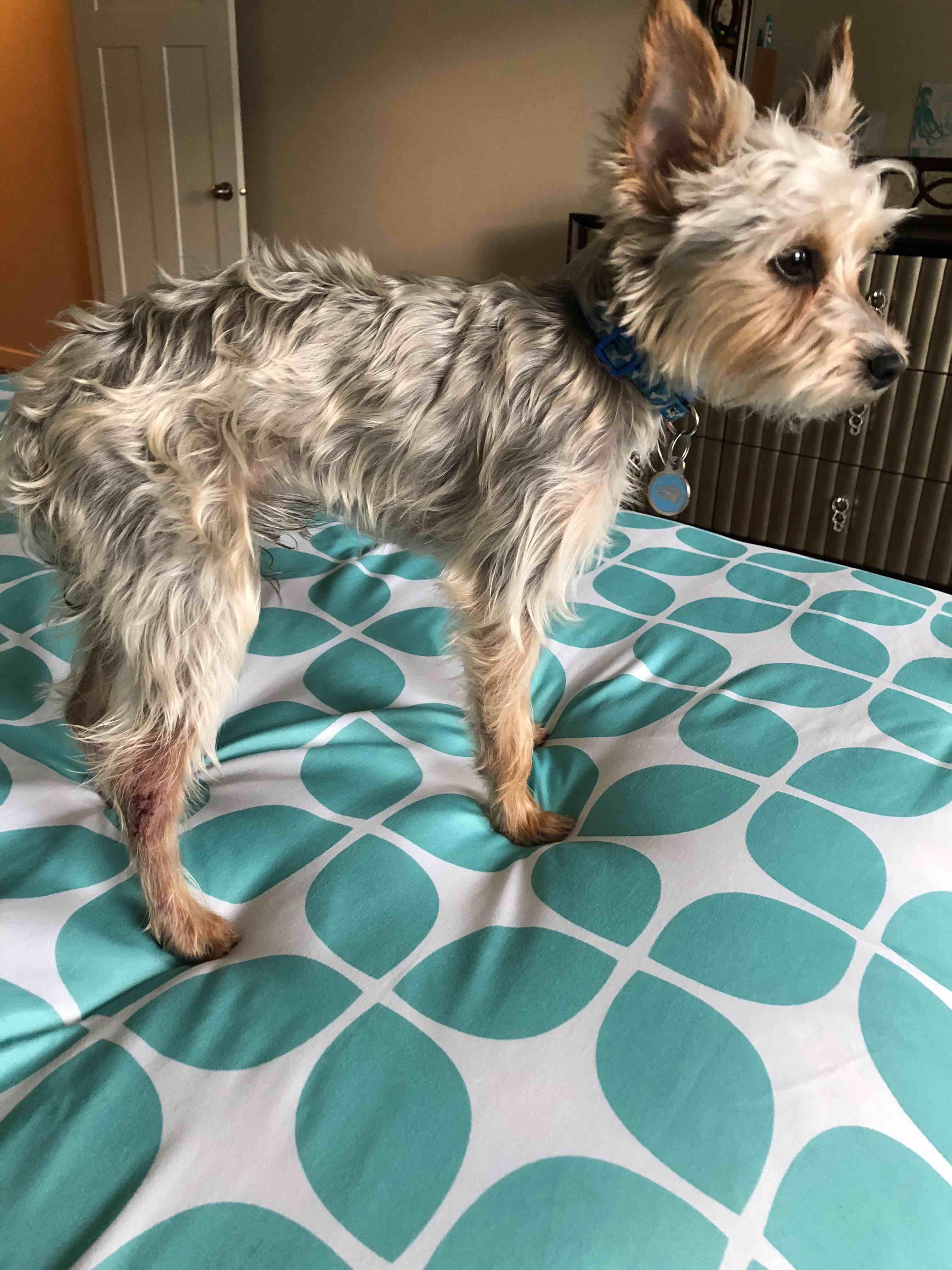 Question details sensitive content