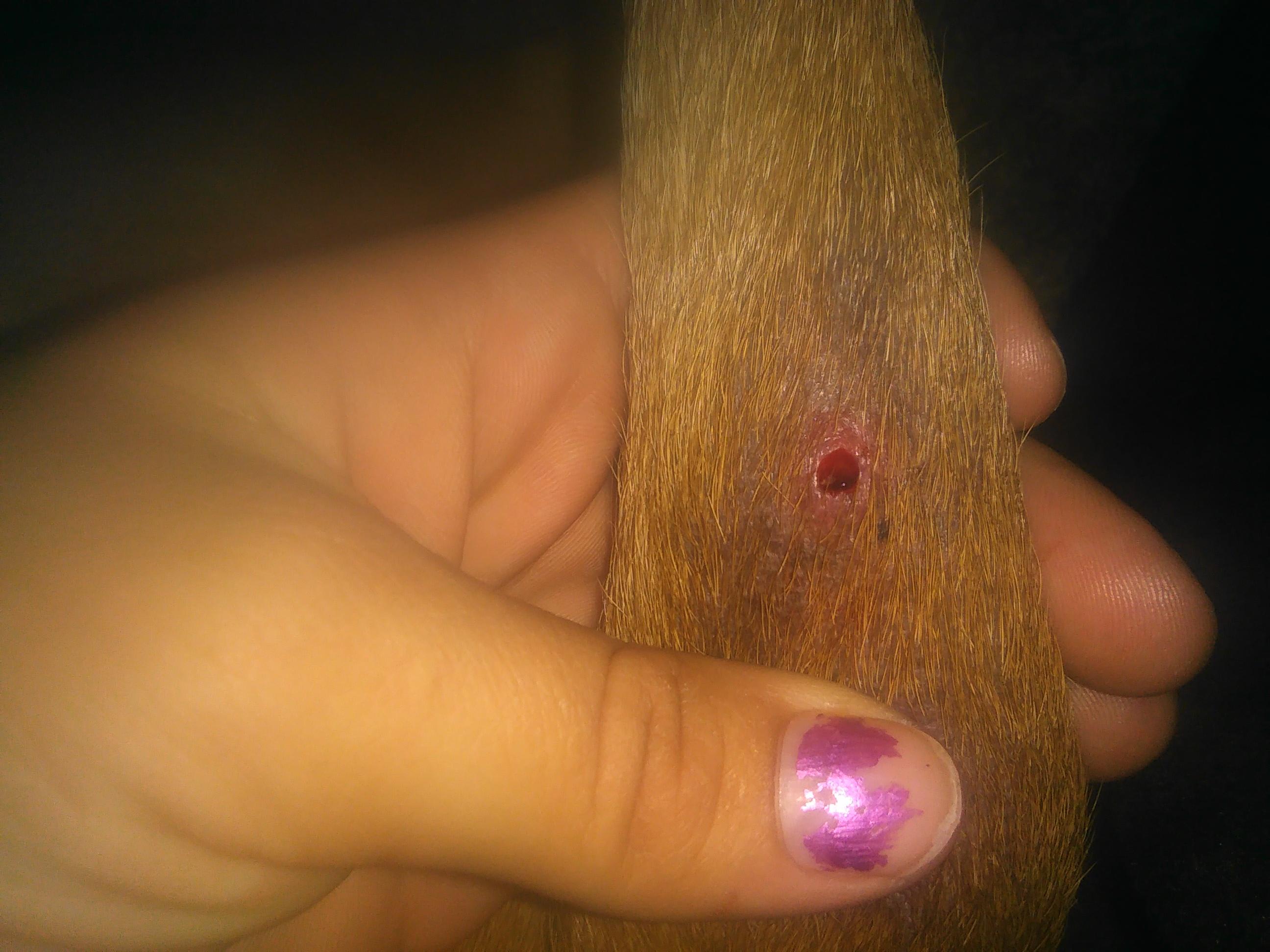 Question details sensitive content