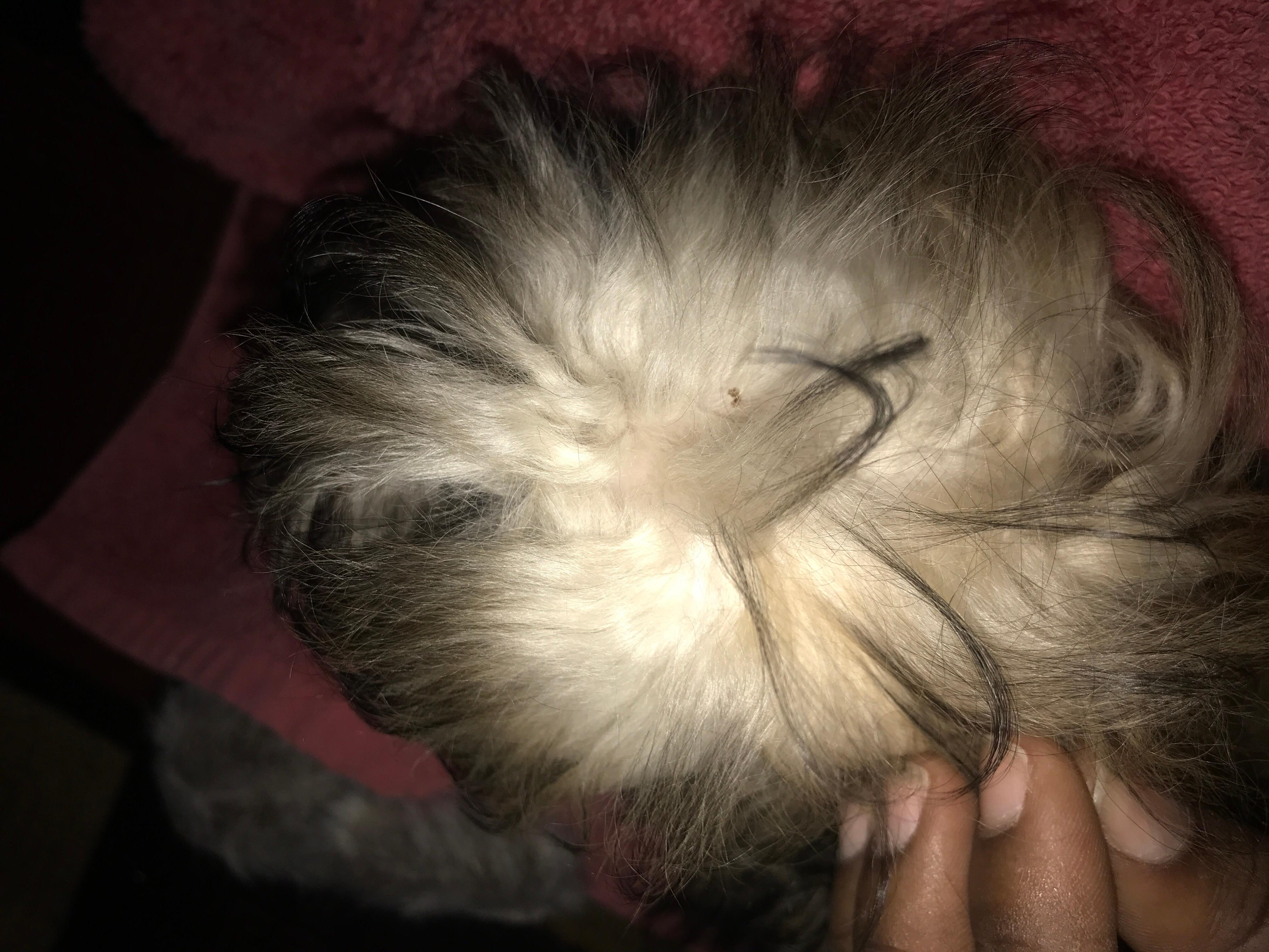 Question details sensitive content