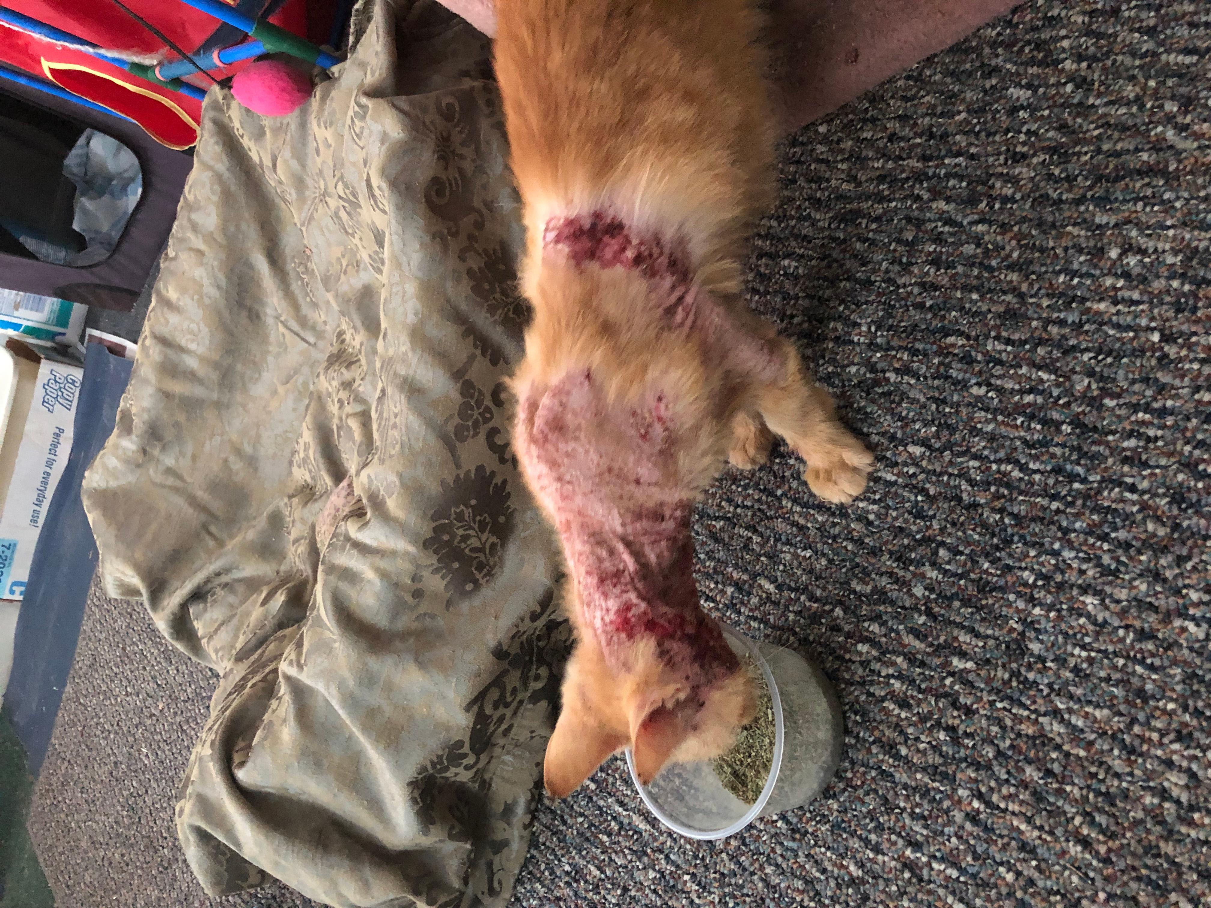 Question details sensitive content