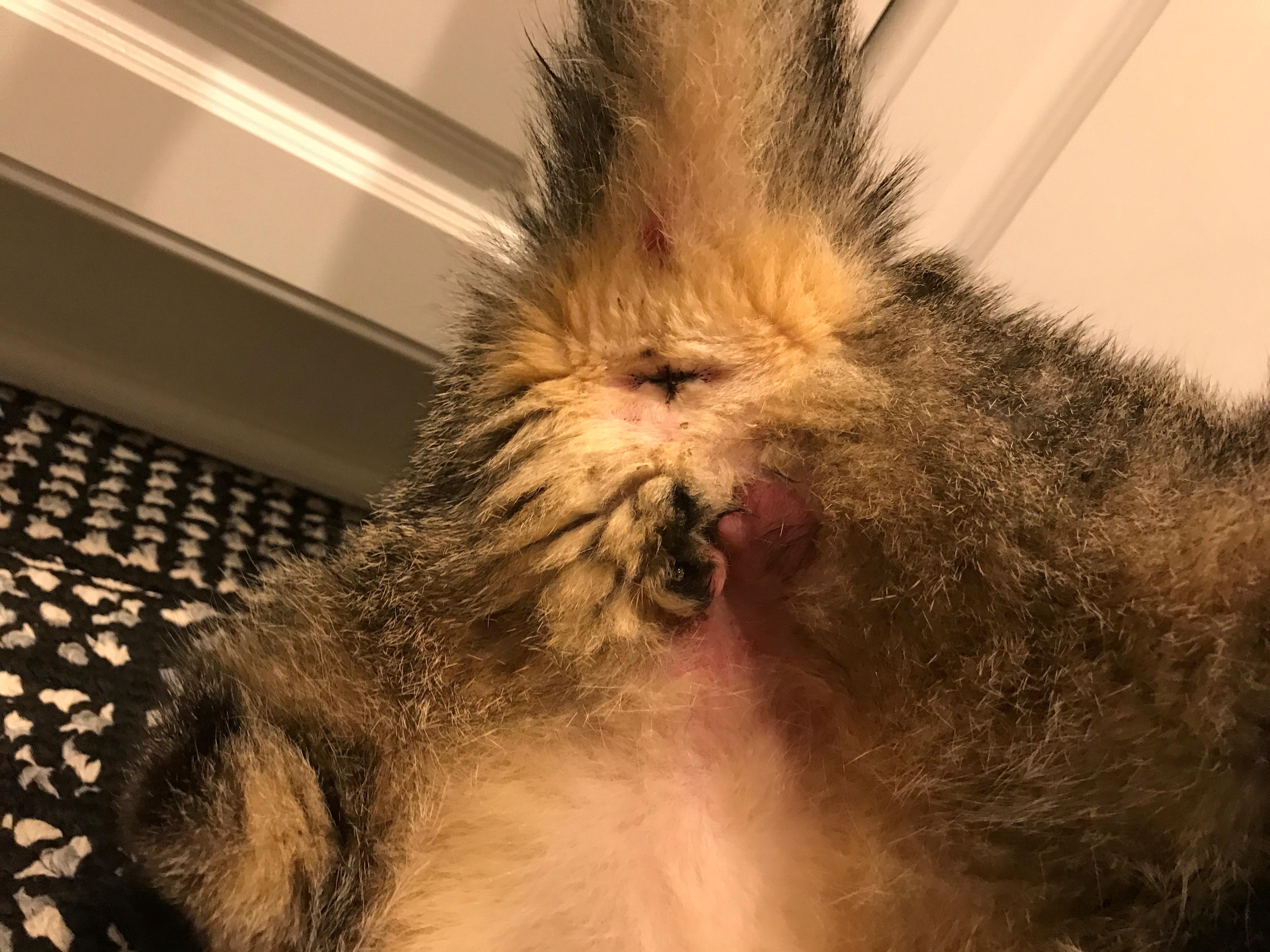 Question details sensitive content