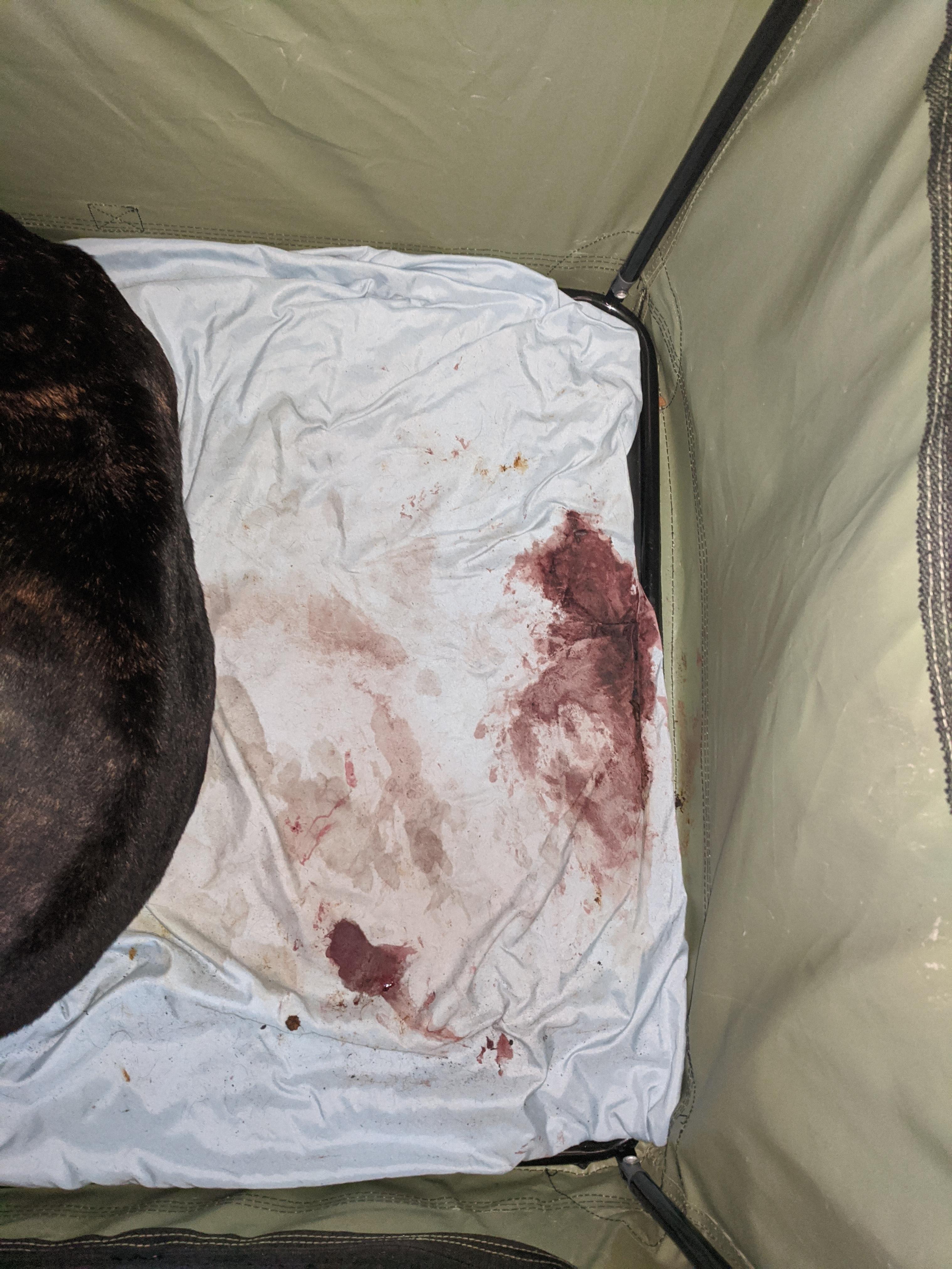 Question details sensitive content