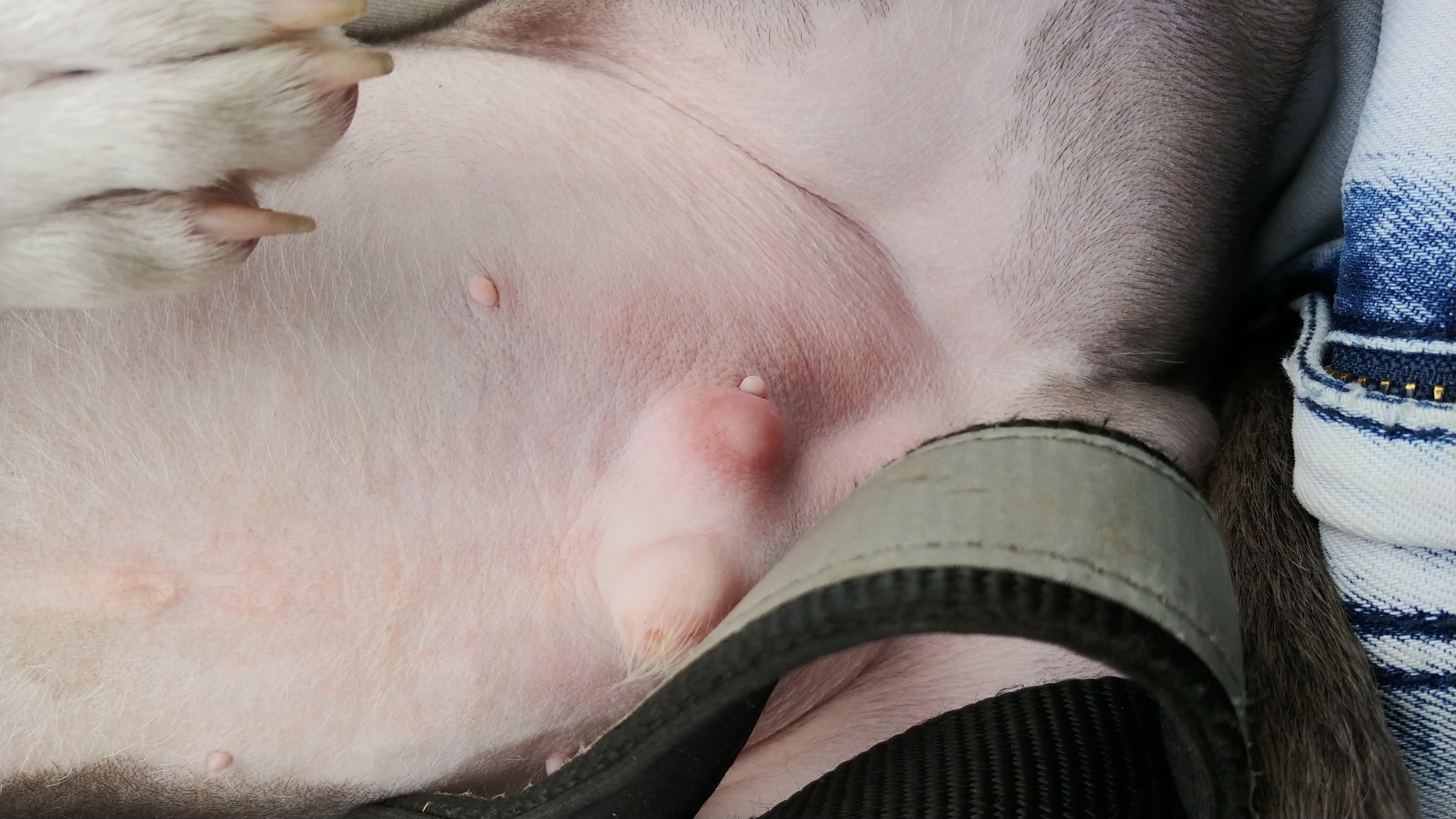 Question details sensitive content