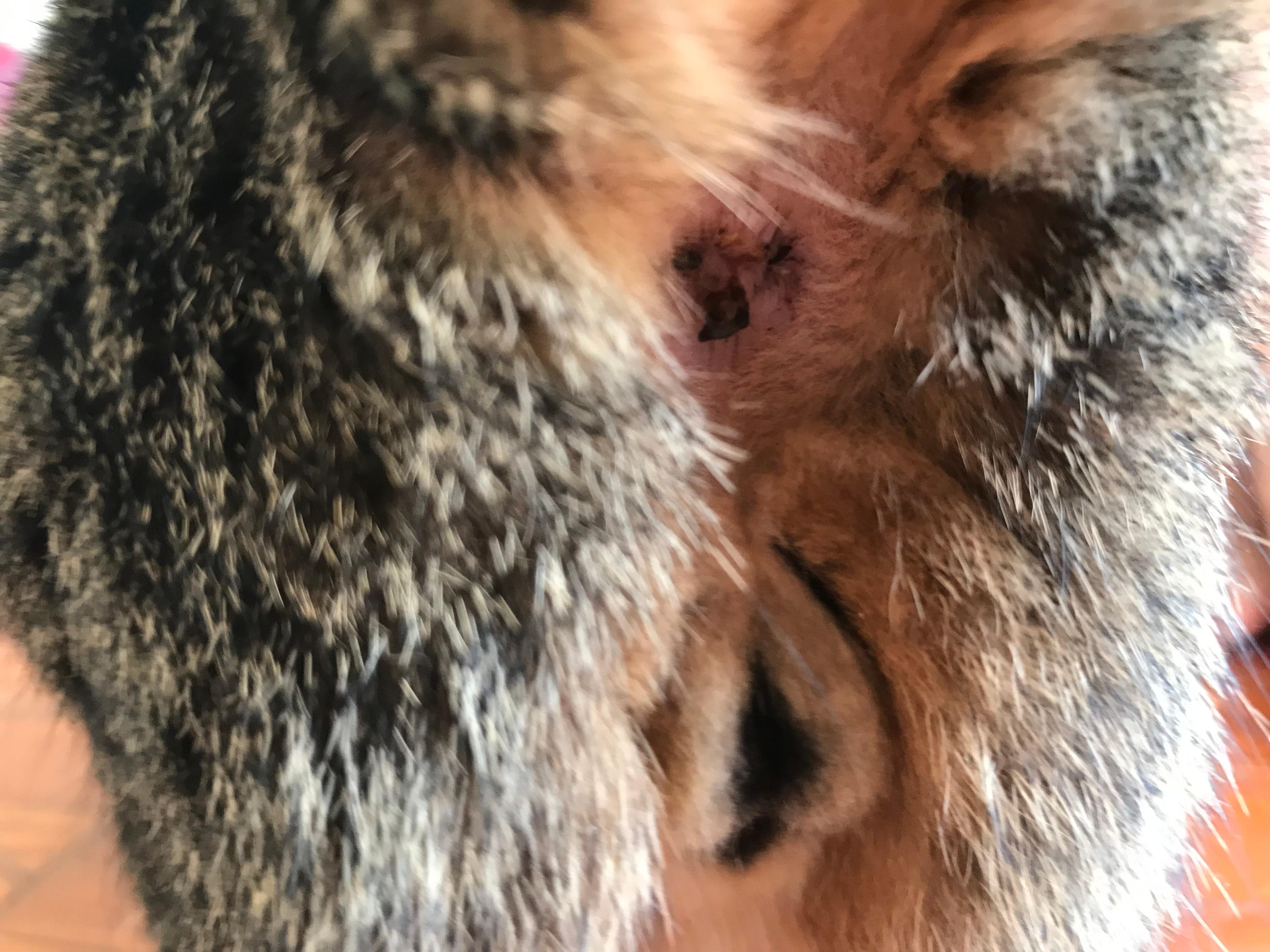 Question details sensitive content