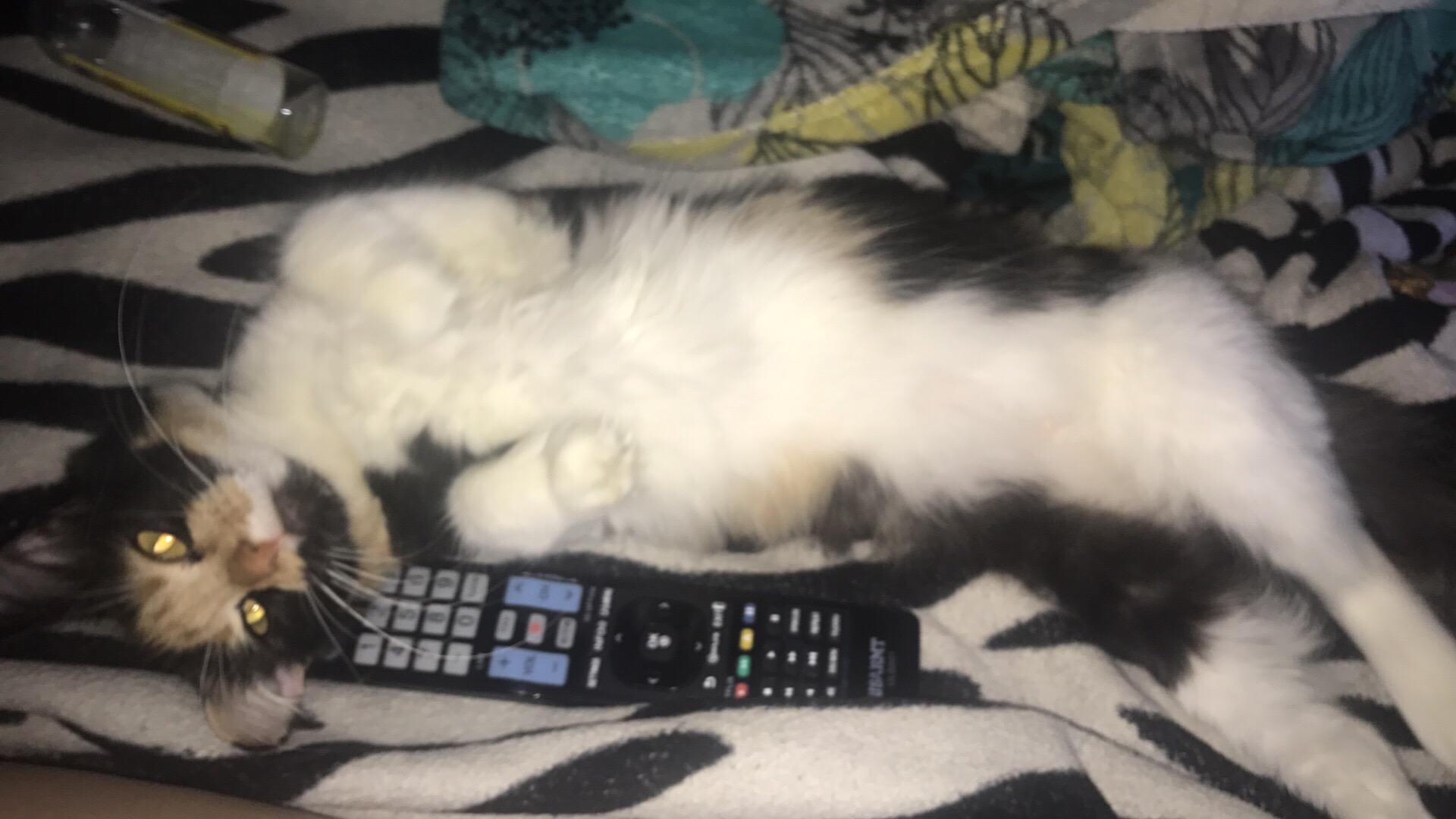 Question details sensitive content