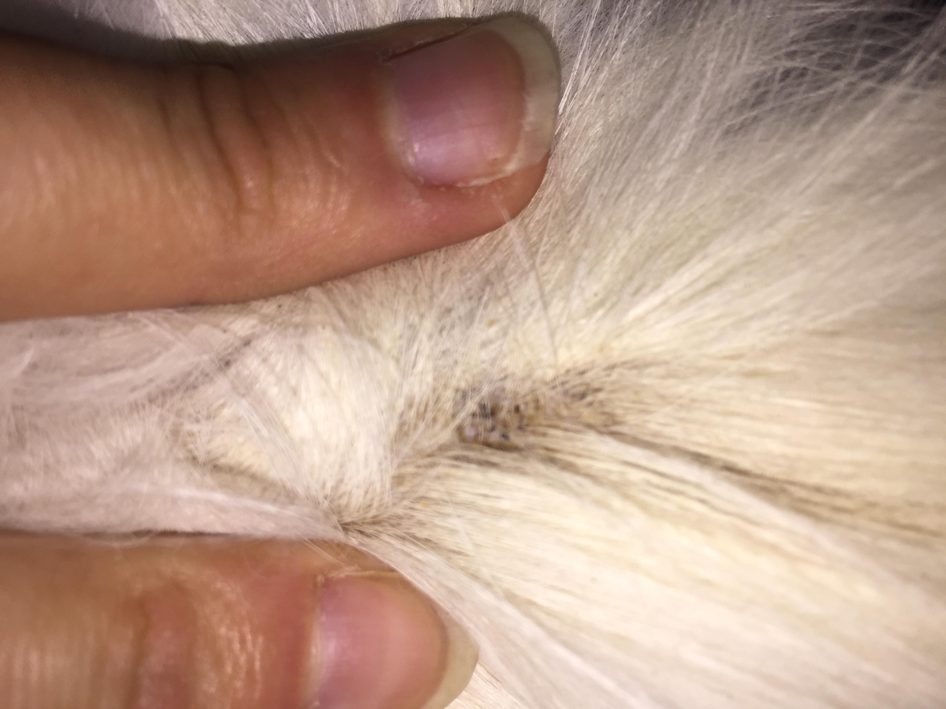 Question details sensitive content