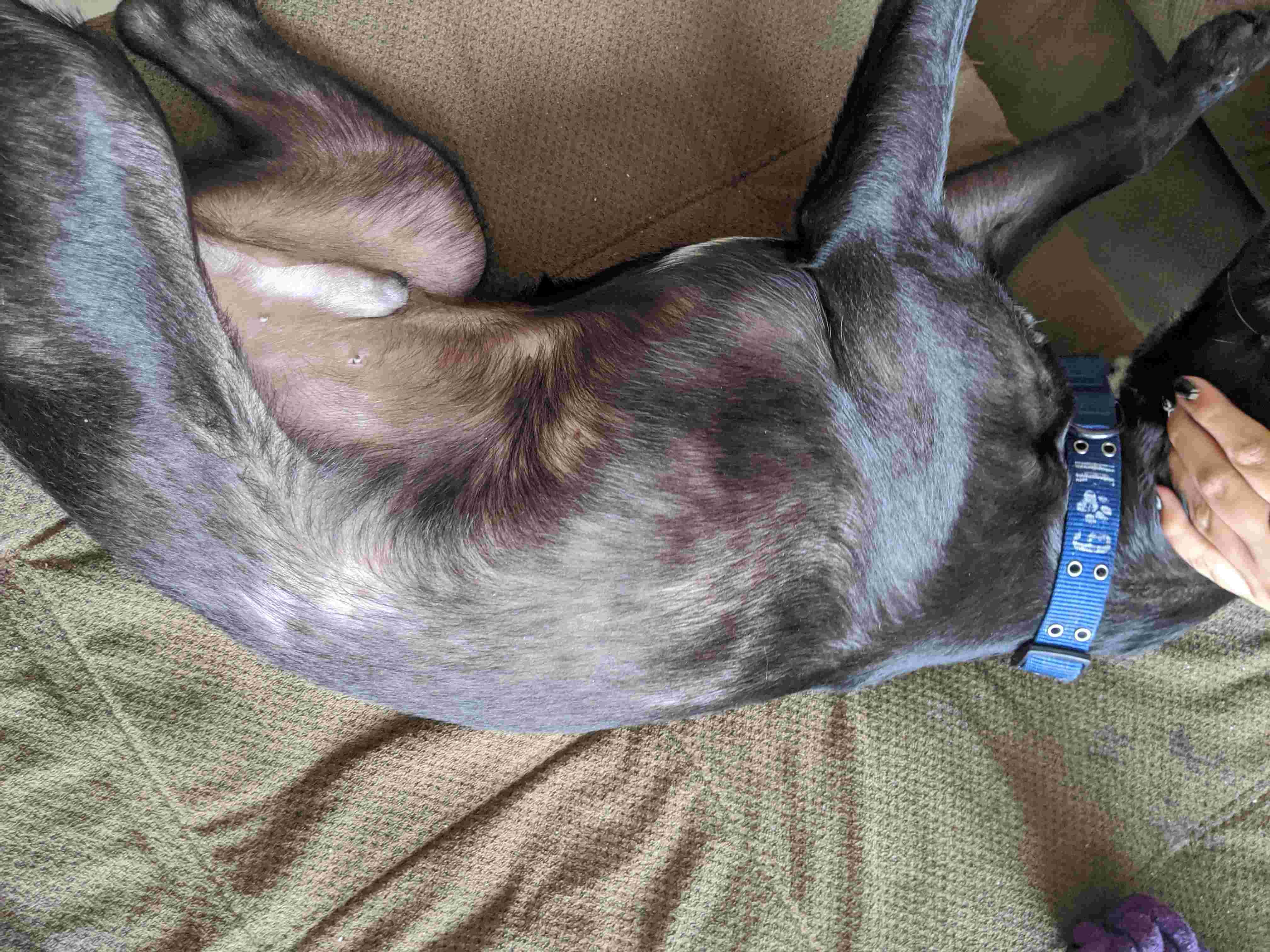 Question details sensitive content