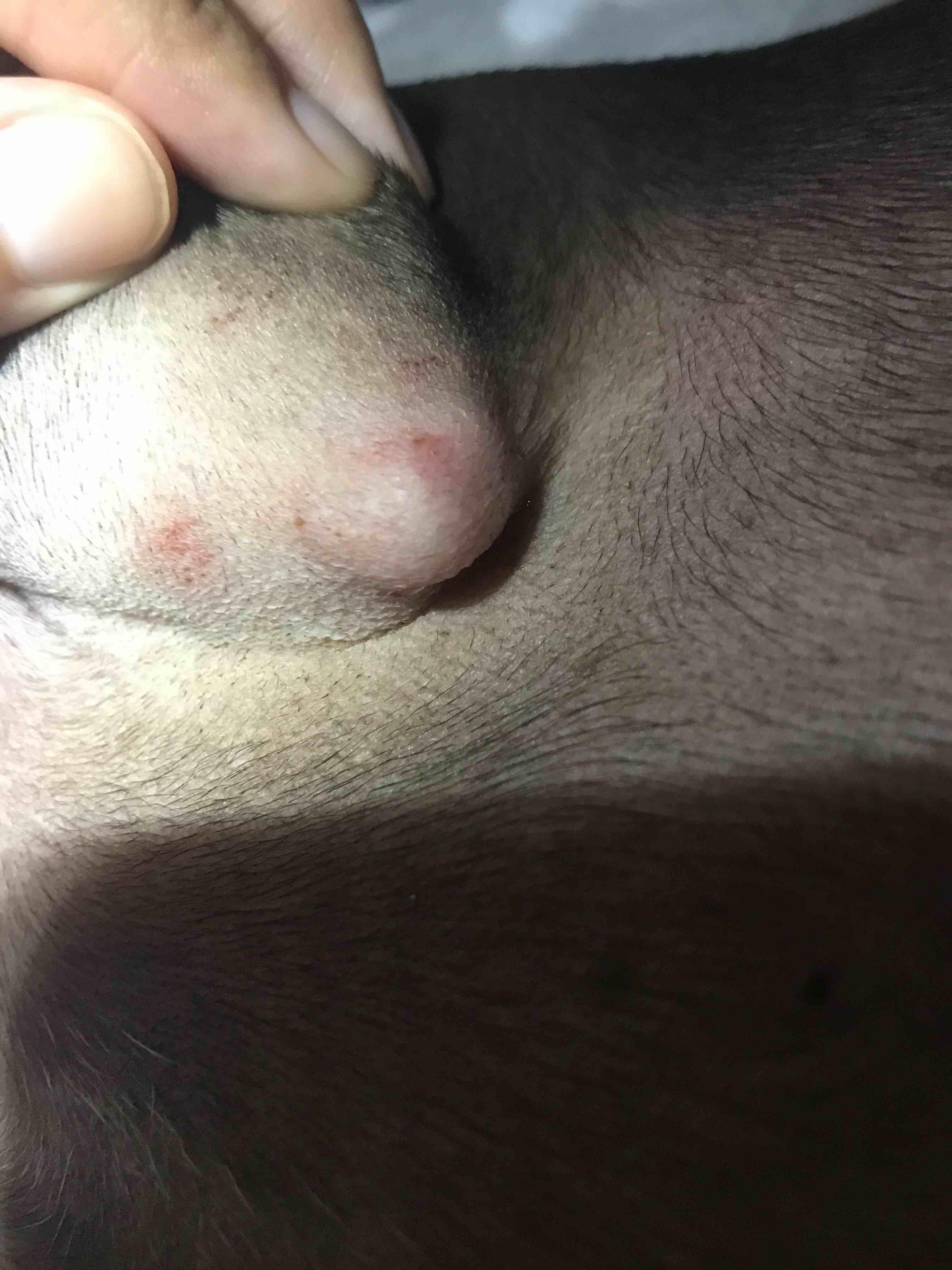 Question details sensitive content