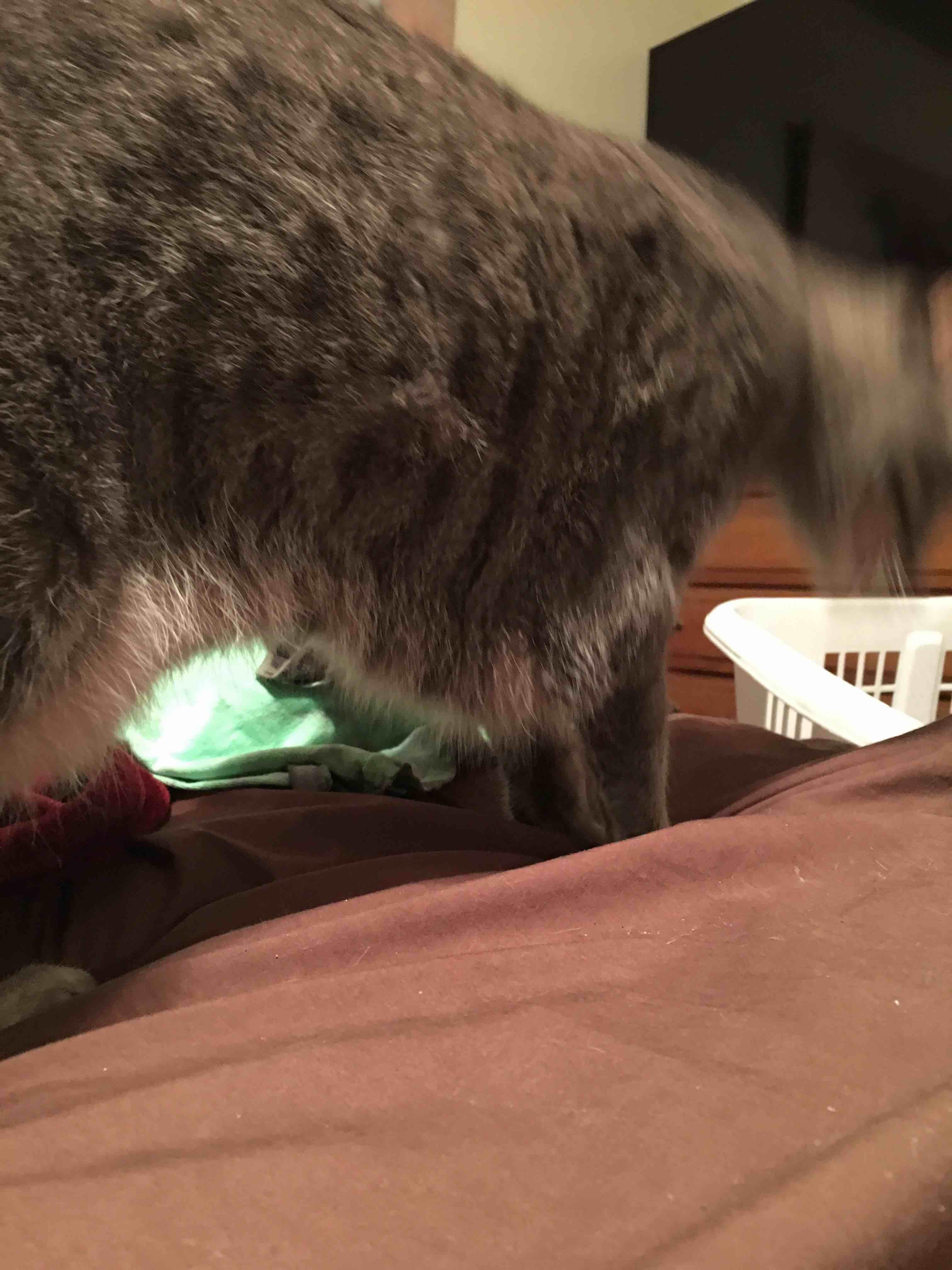 Question details sensitive content