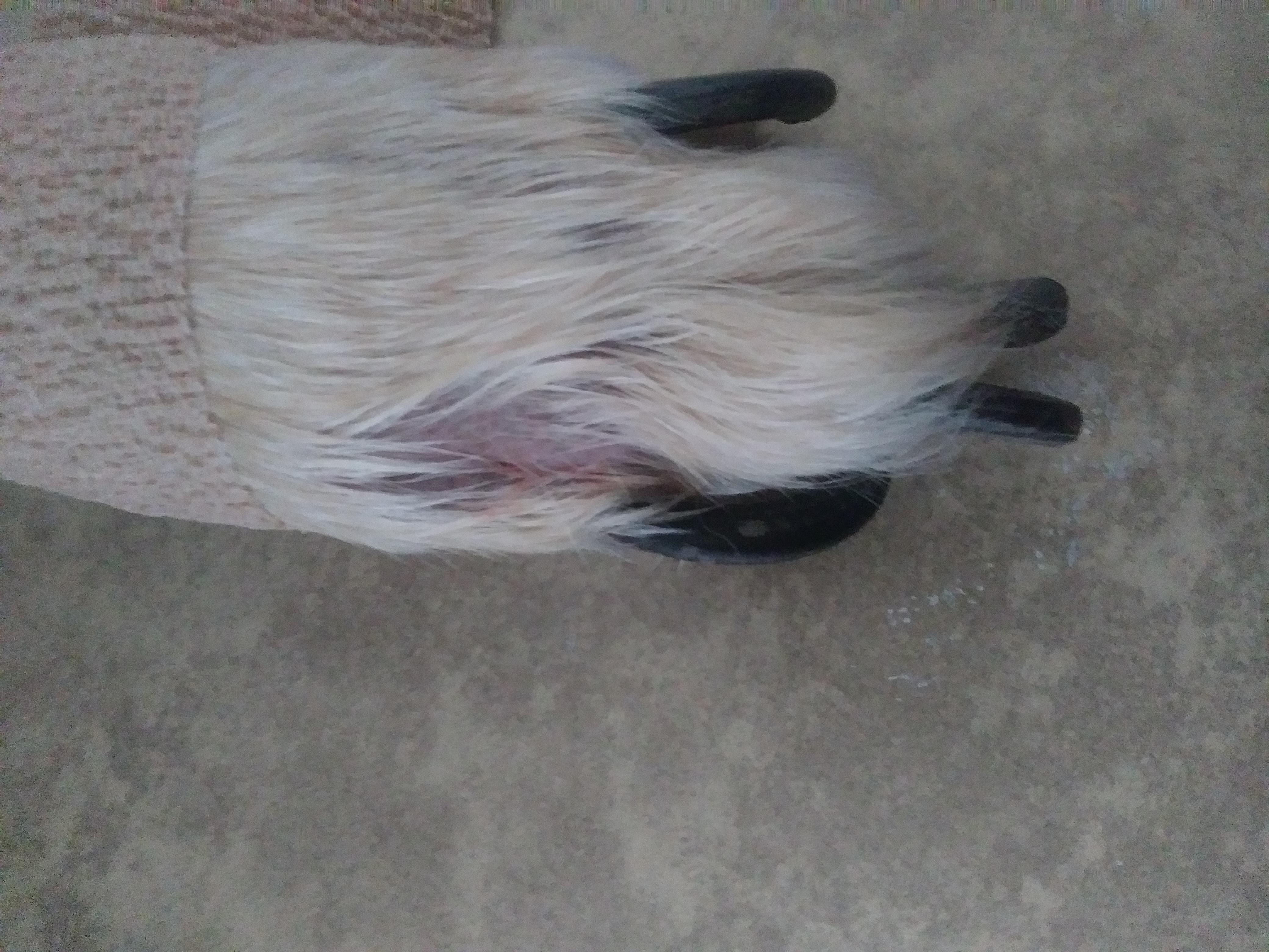 Question details sensitive content