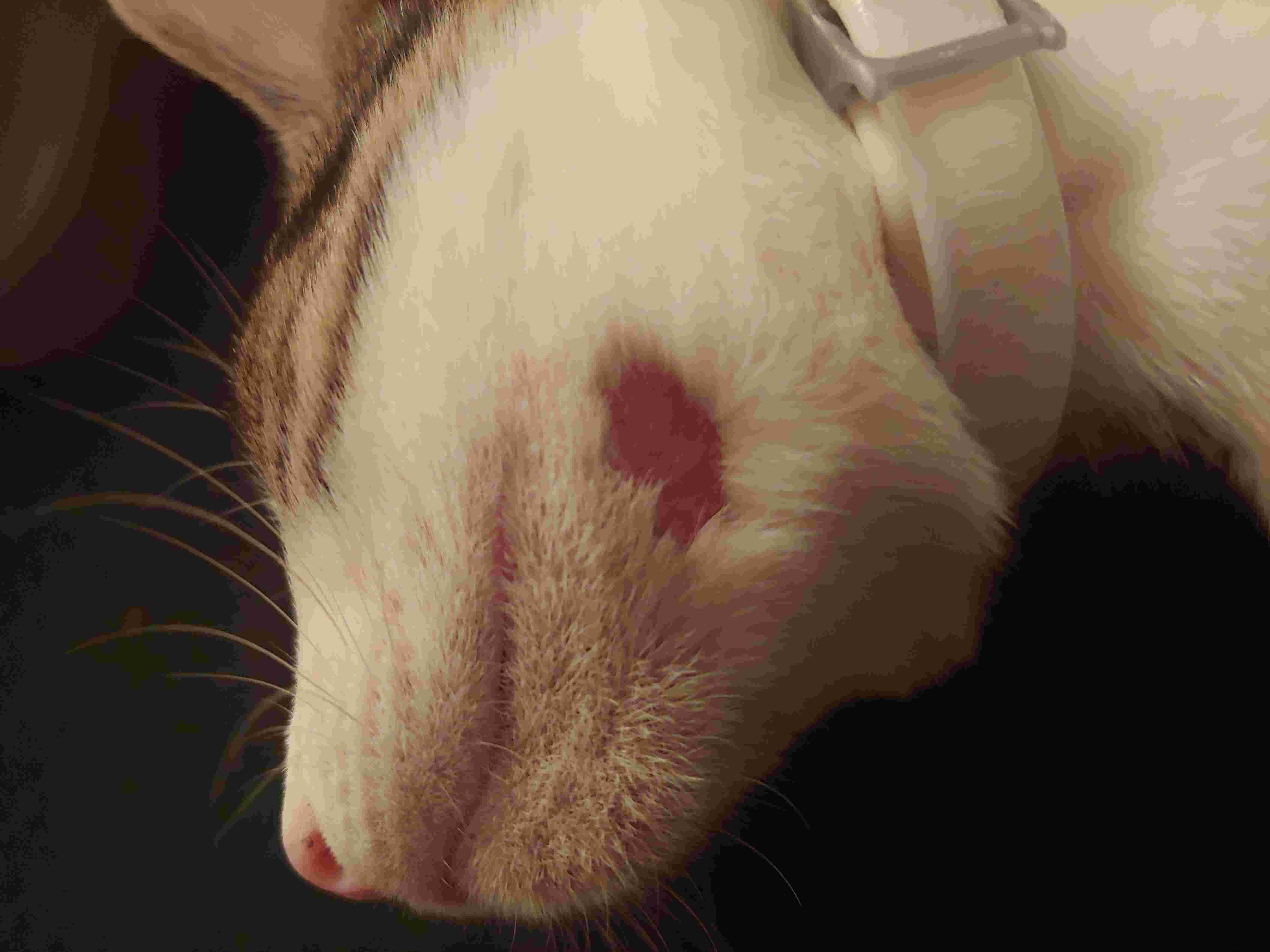 Question details sensitive content