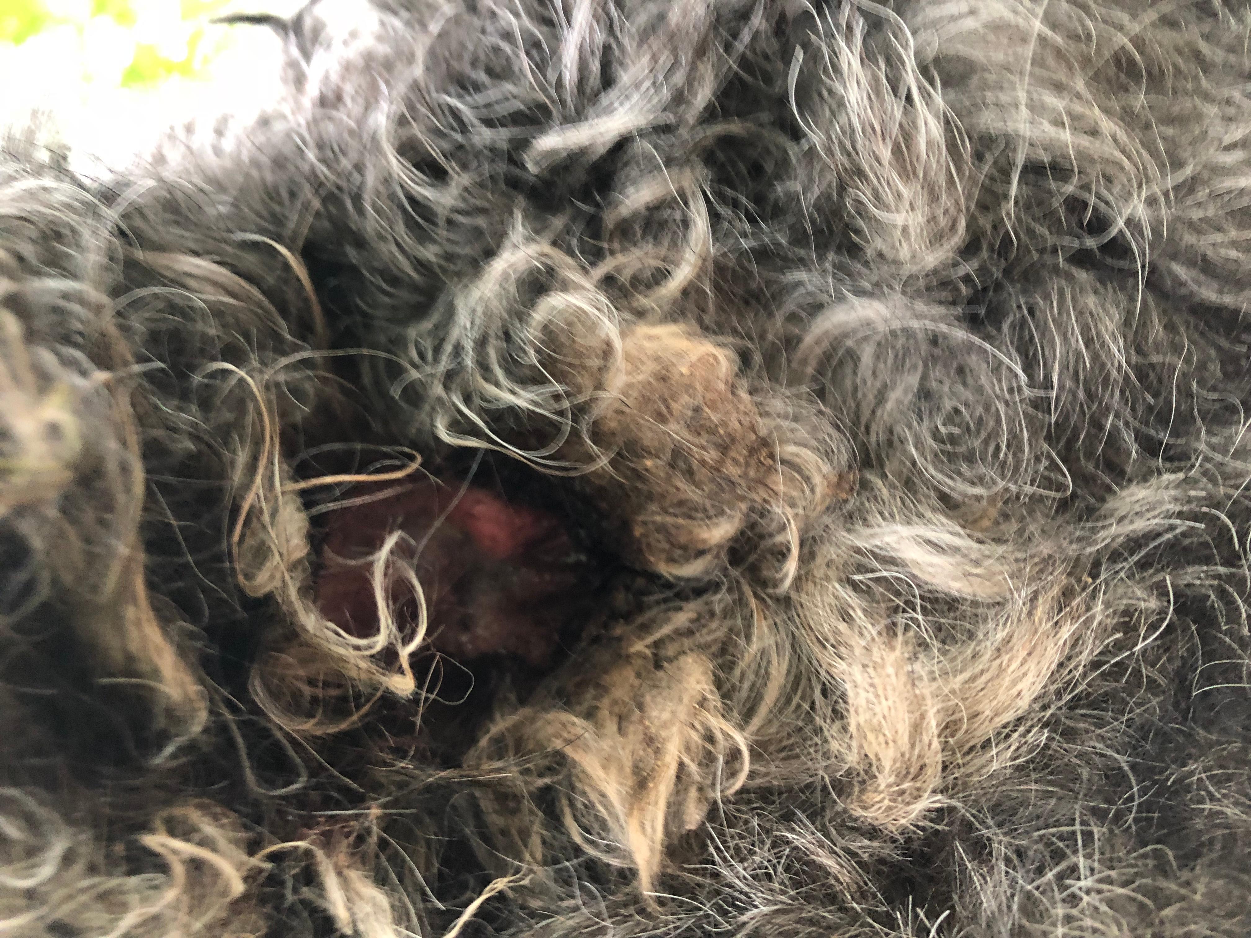 Question details sensitive content