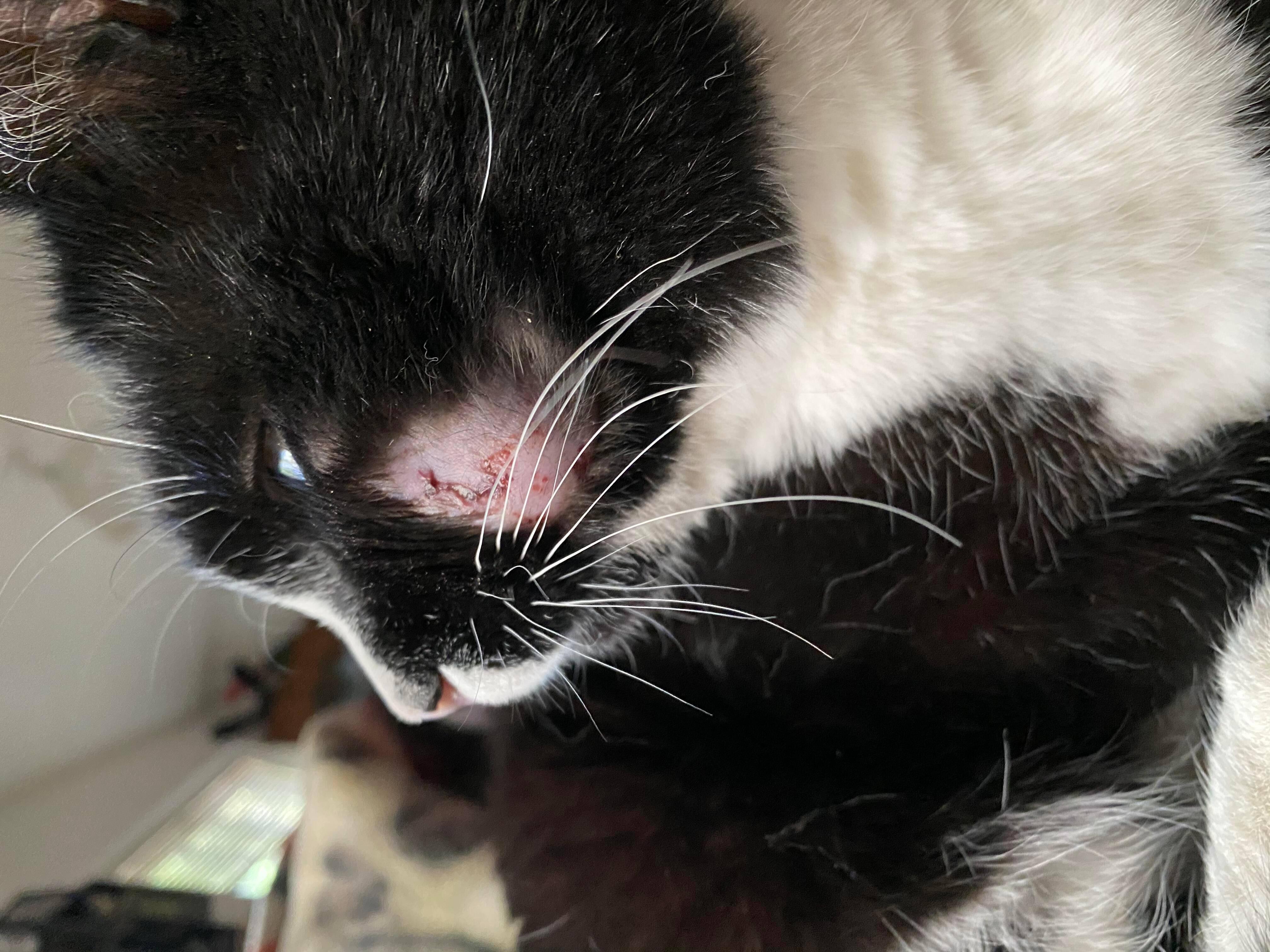 Question details sensitive content