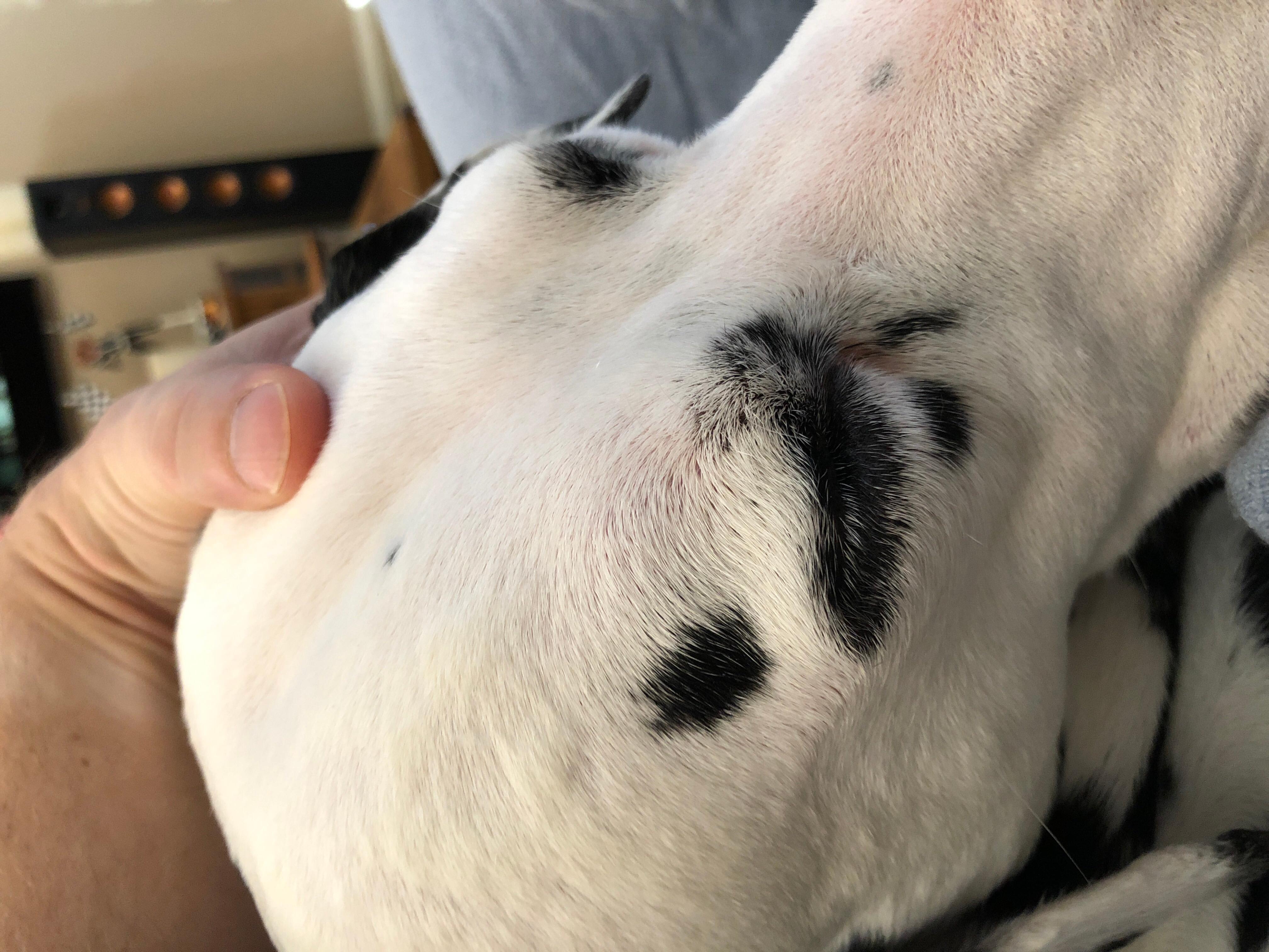 Question details sensitive content