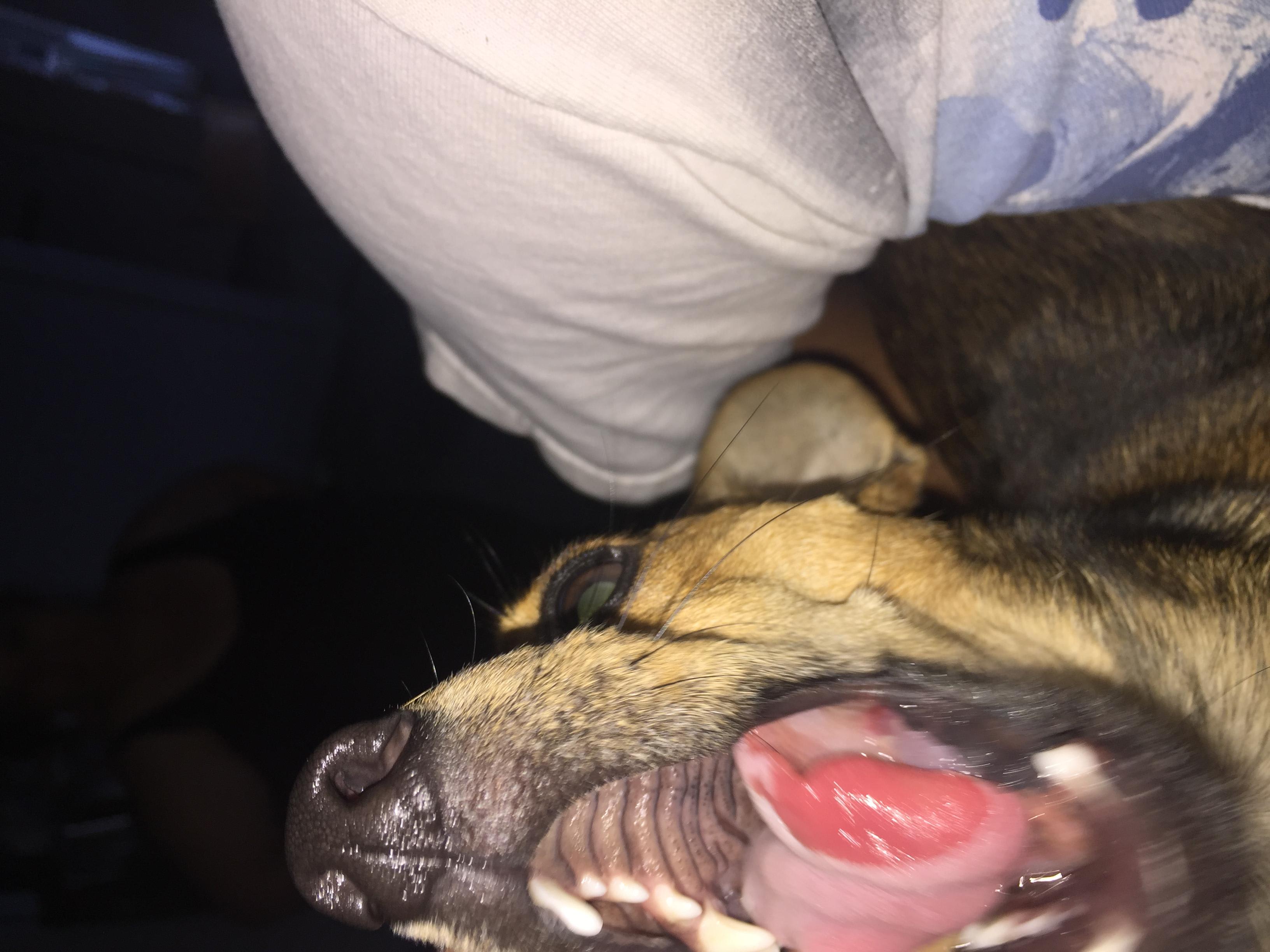 Question details sensitive content