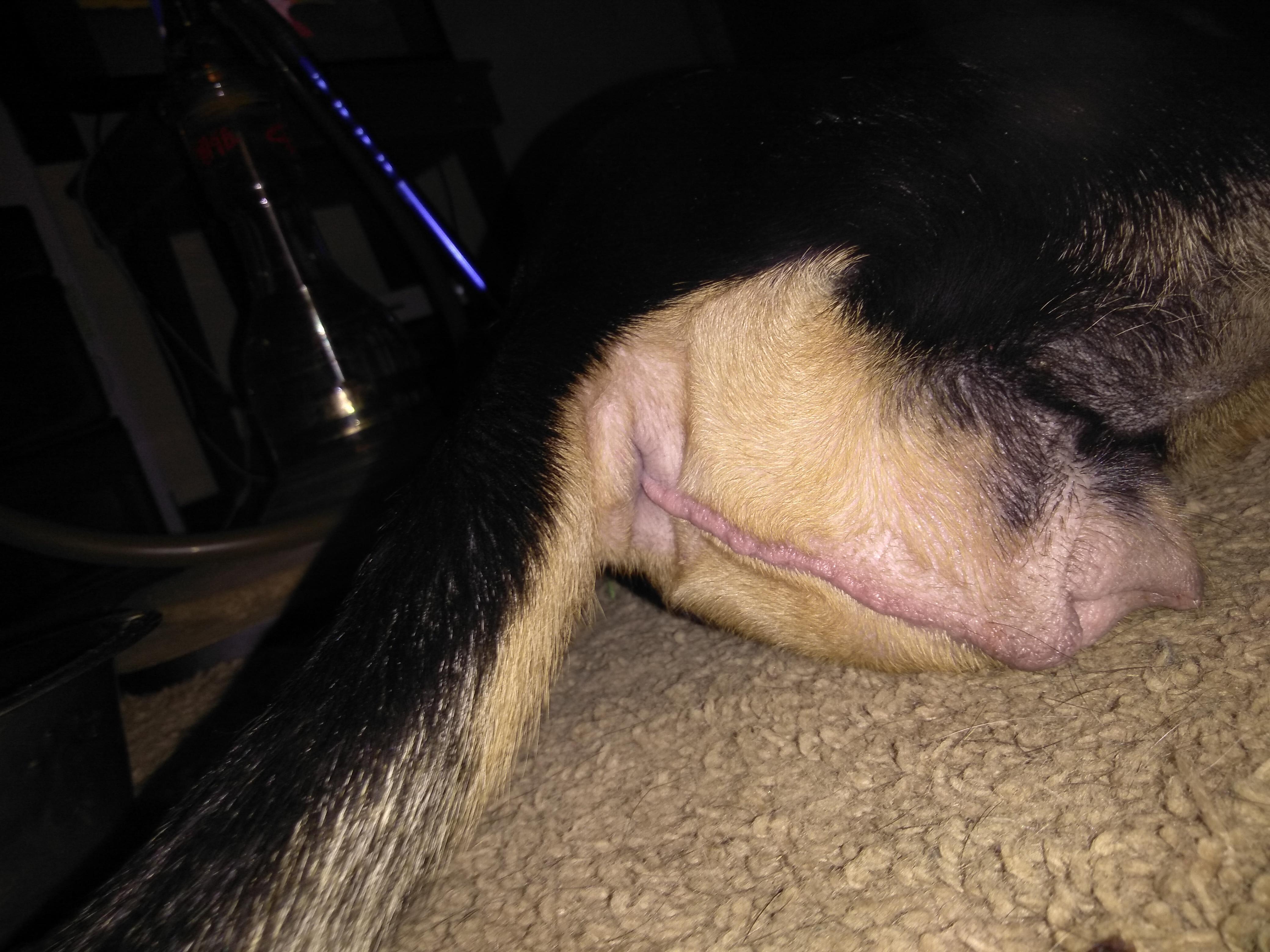 Question details sensitive content