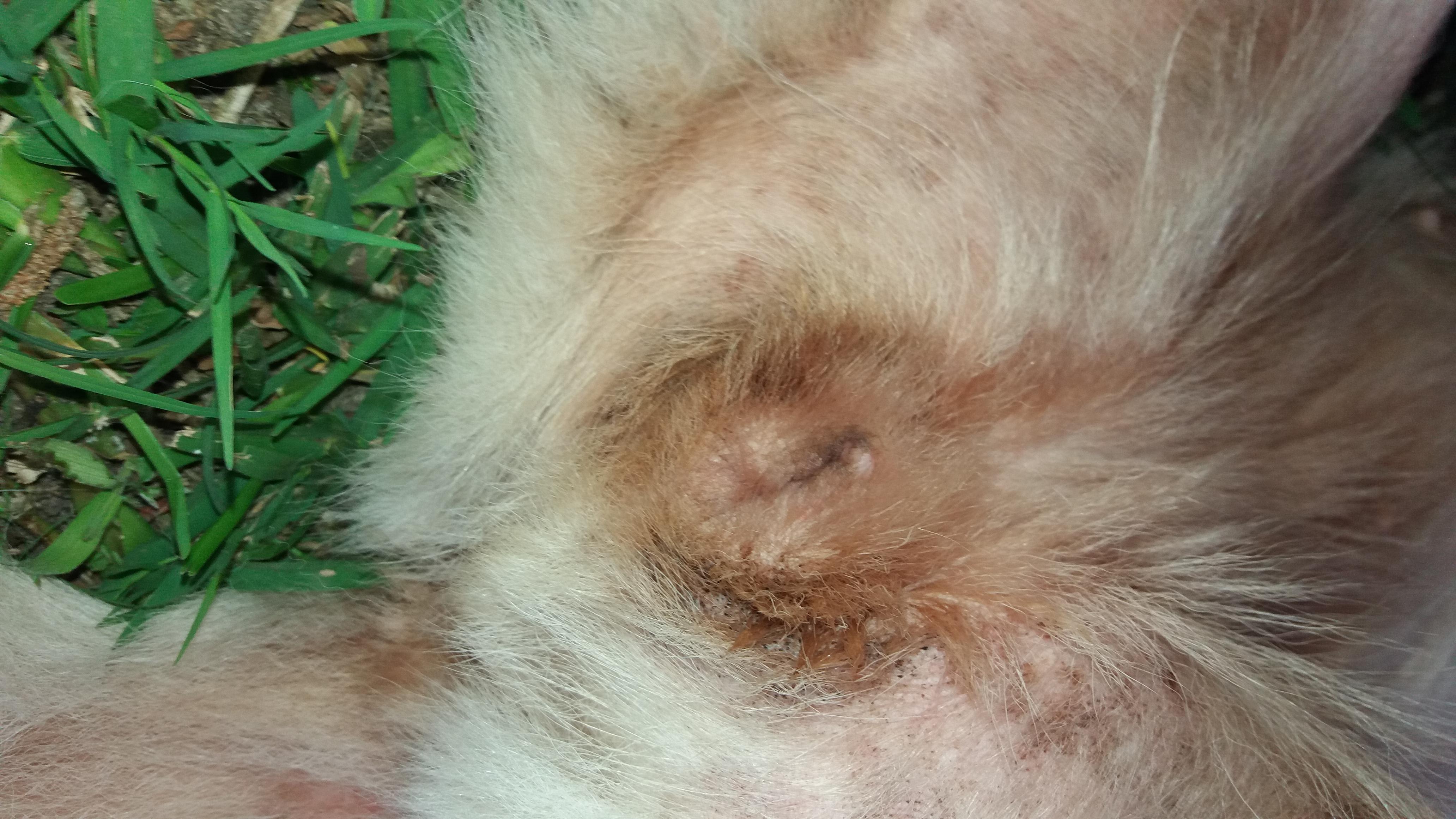 Question details sensitive content