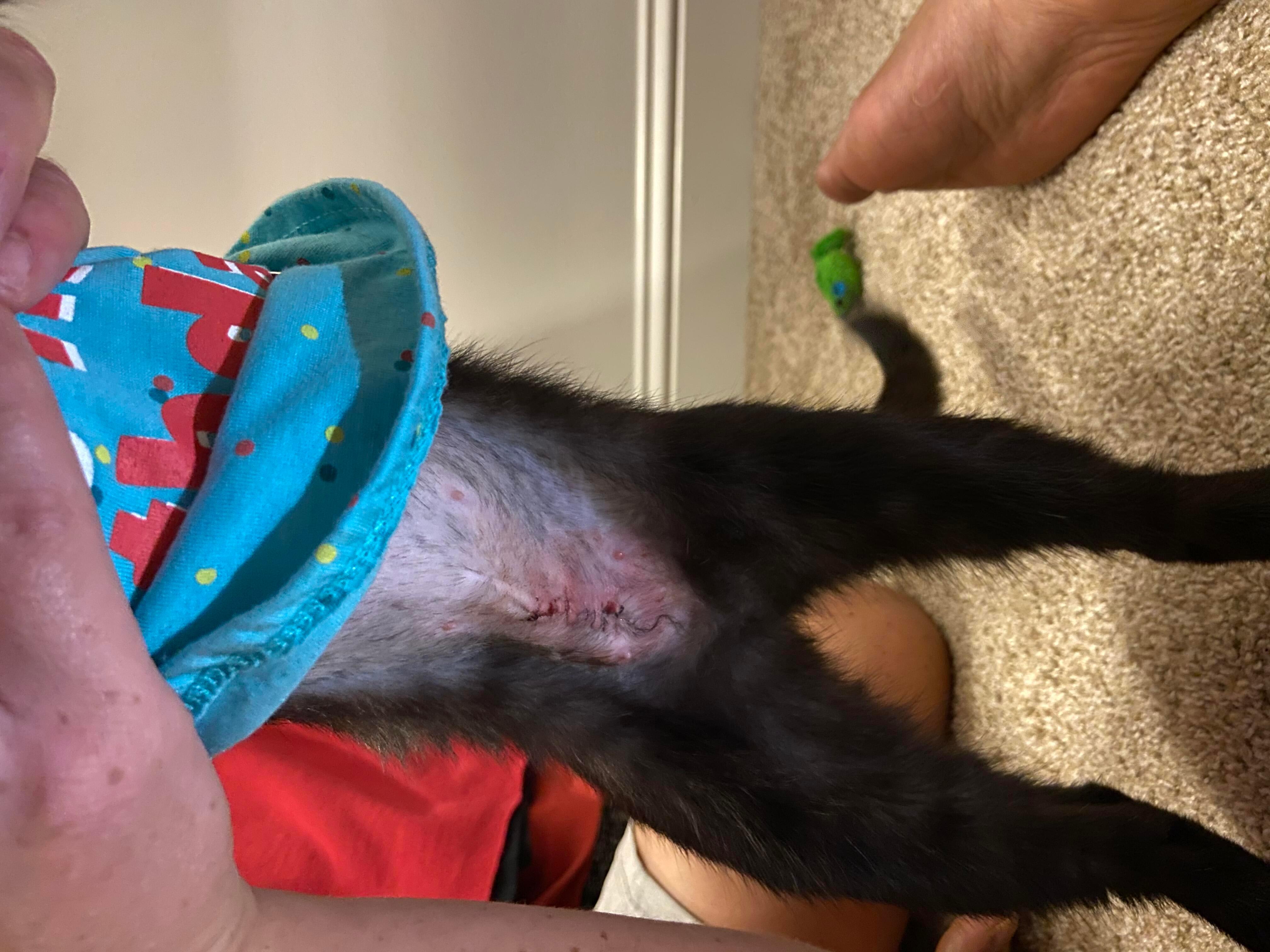 Question details sensitive content