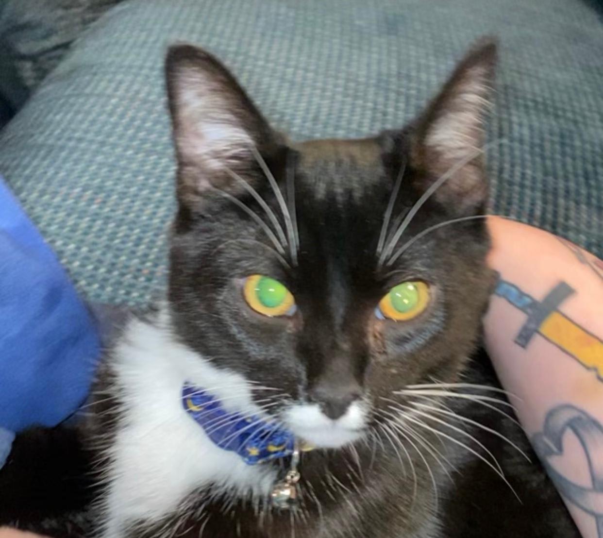 Question details sensitive content