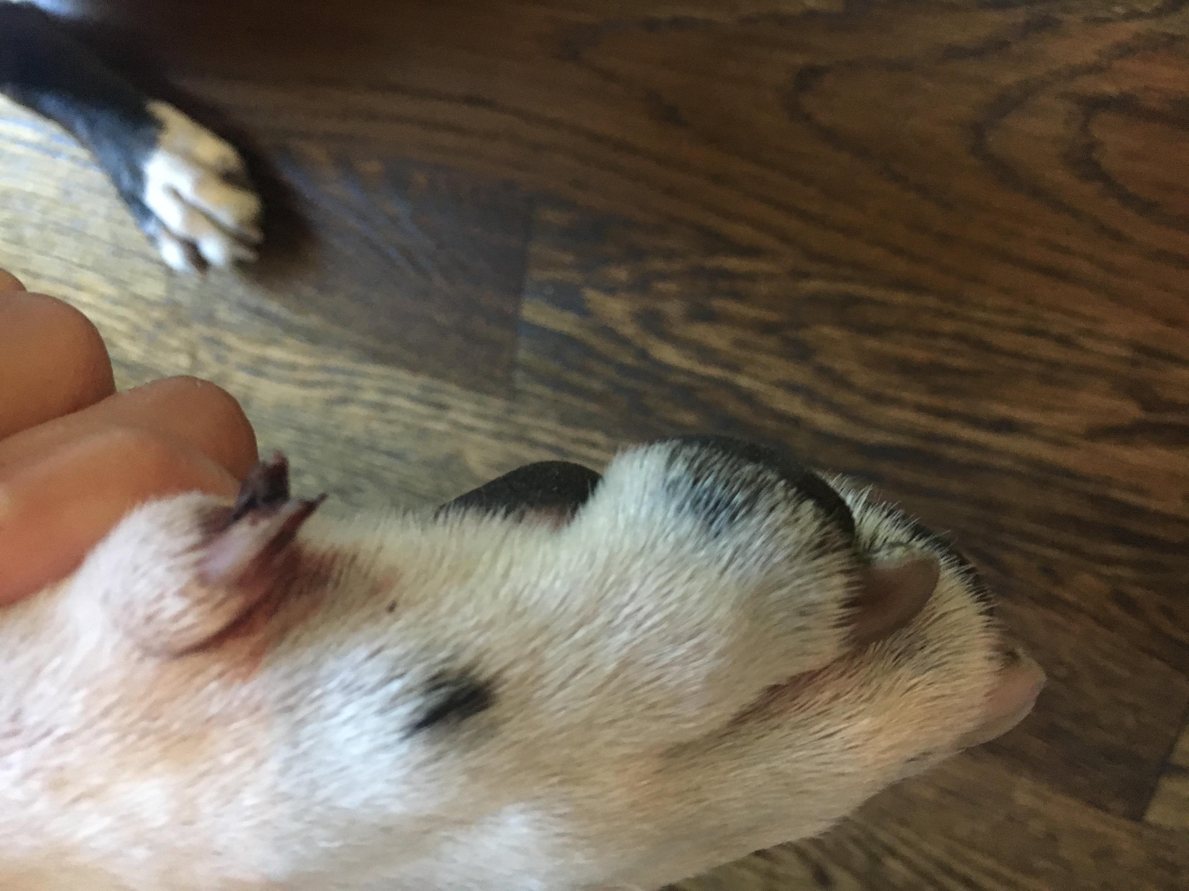 Question details sensitive content