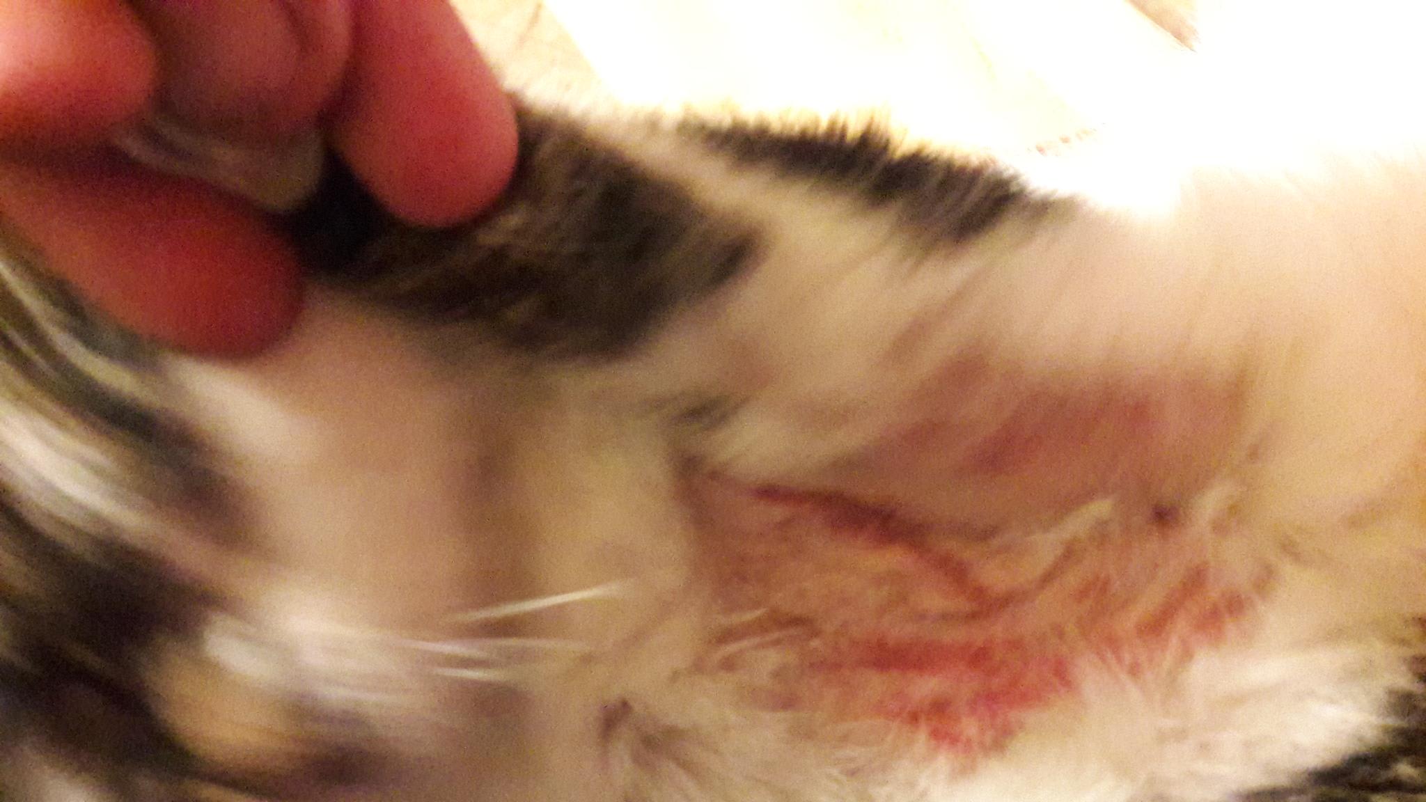 Question details sensitive content