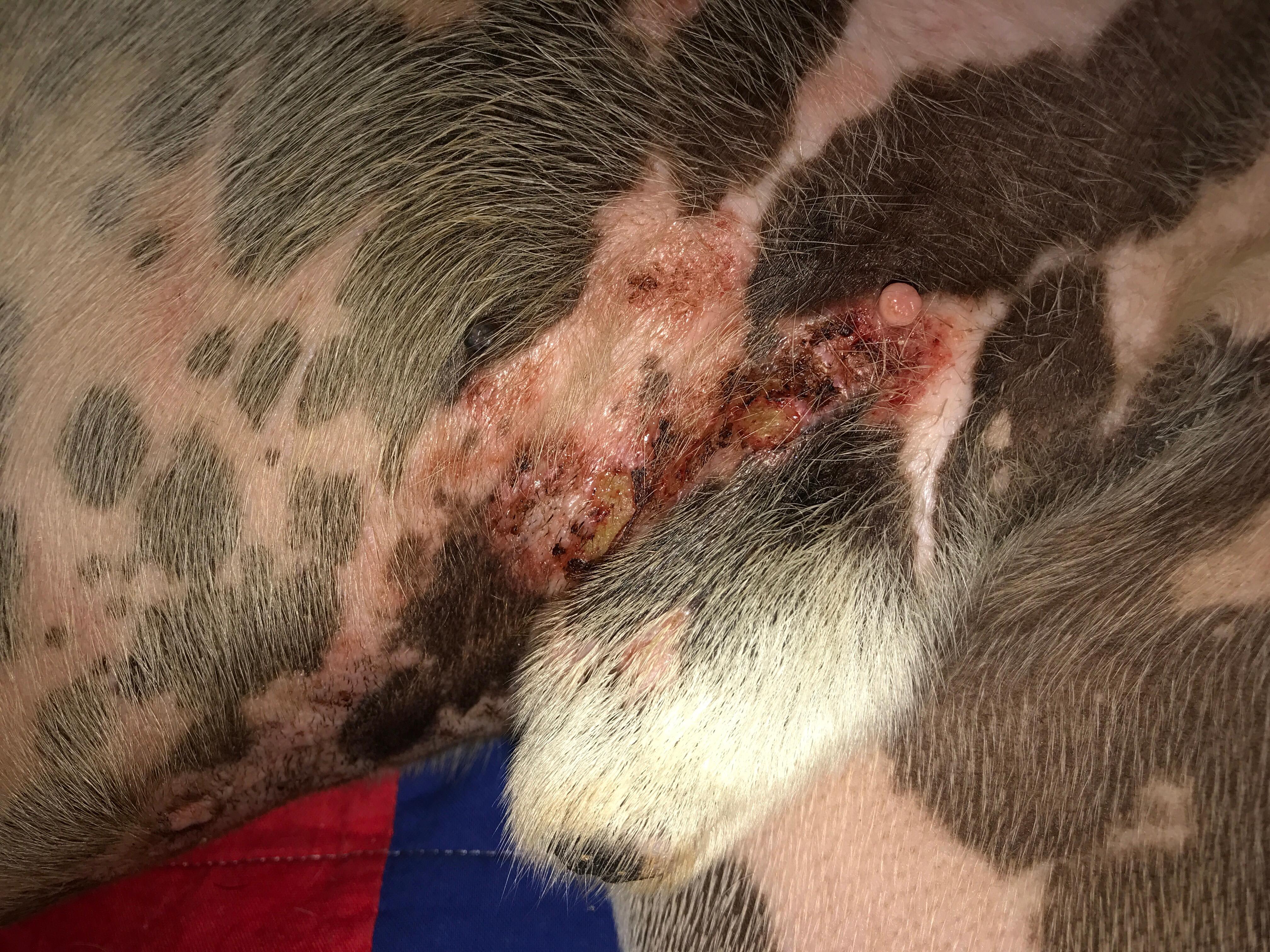 Question details sensitive content