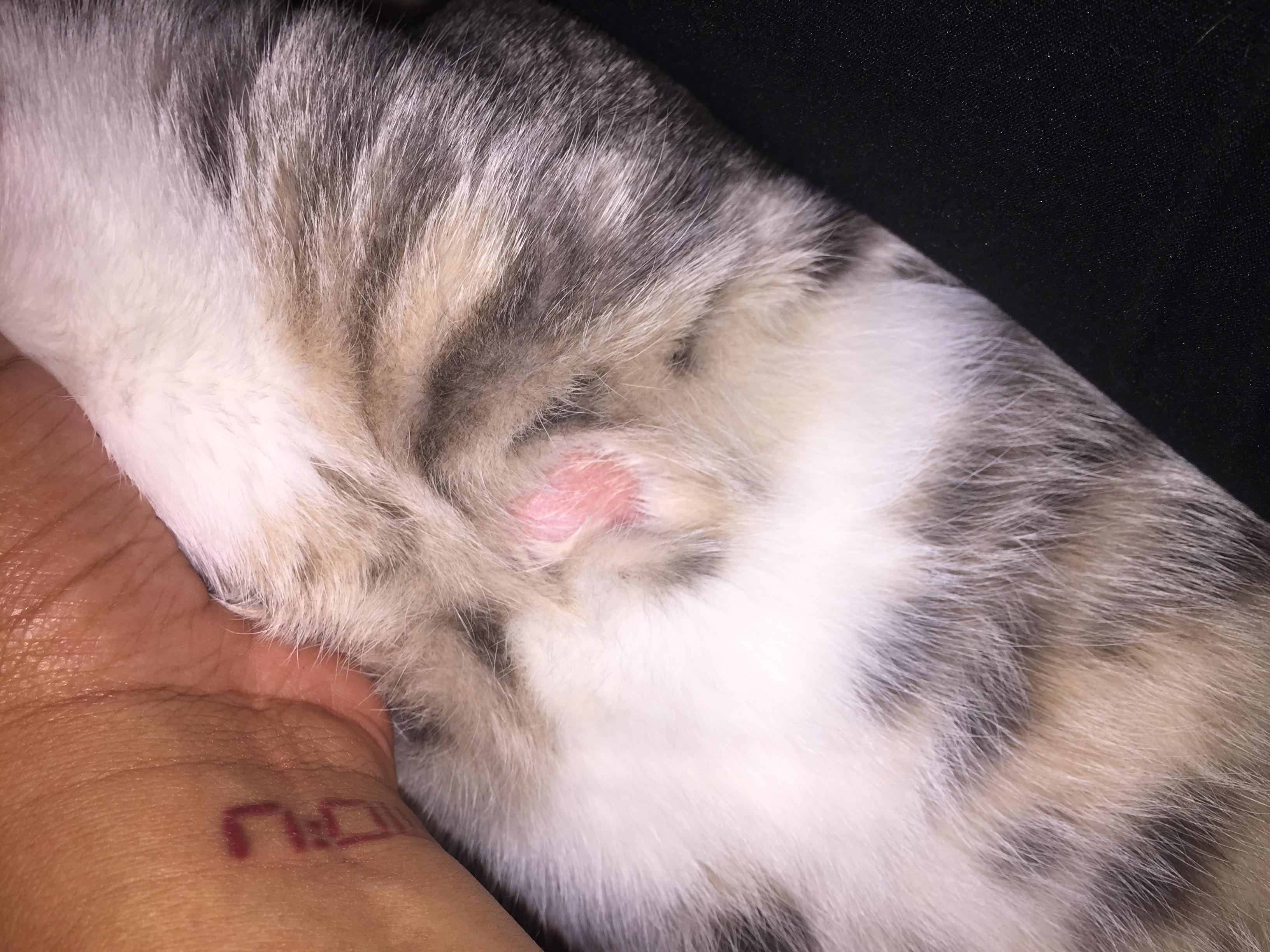 Question details sensitive content