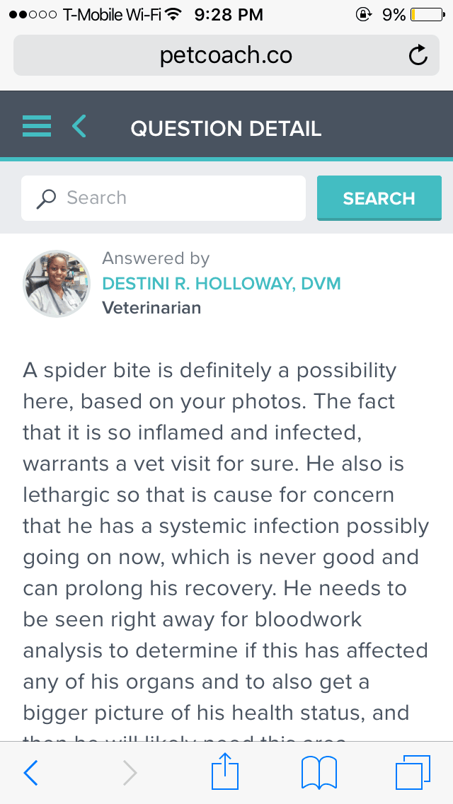 Question details sensitive content