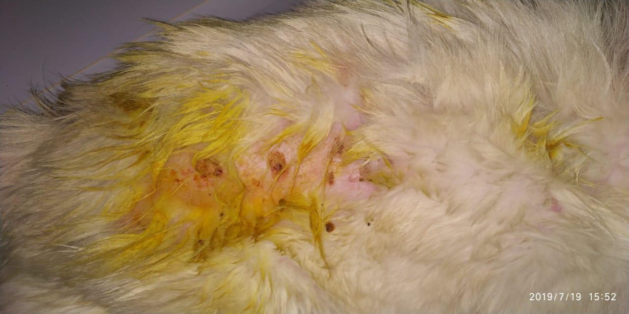 Question details sensitive content