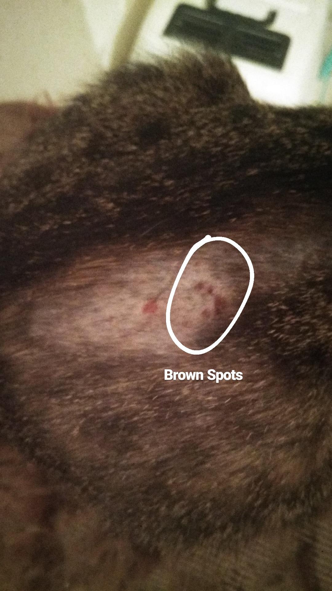 Question details sensitive content