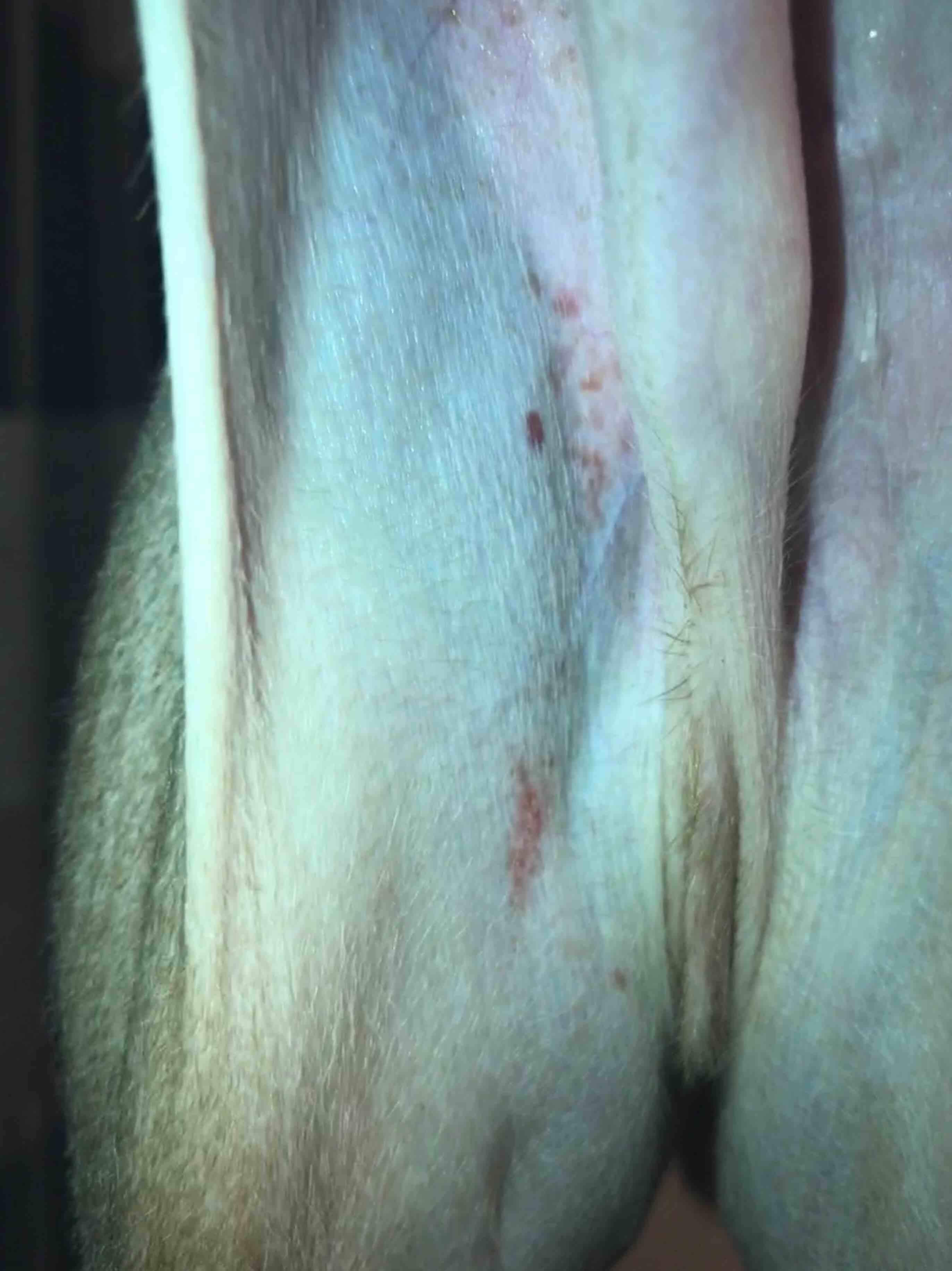 Question details sensitive content