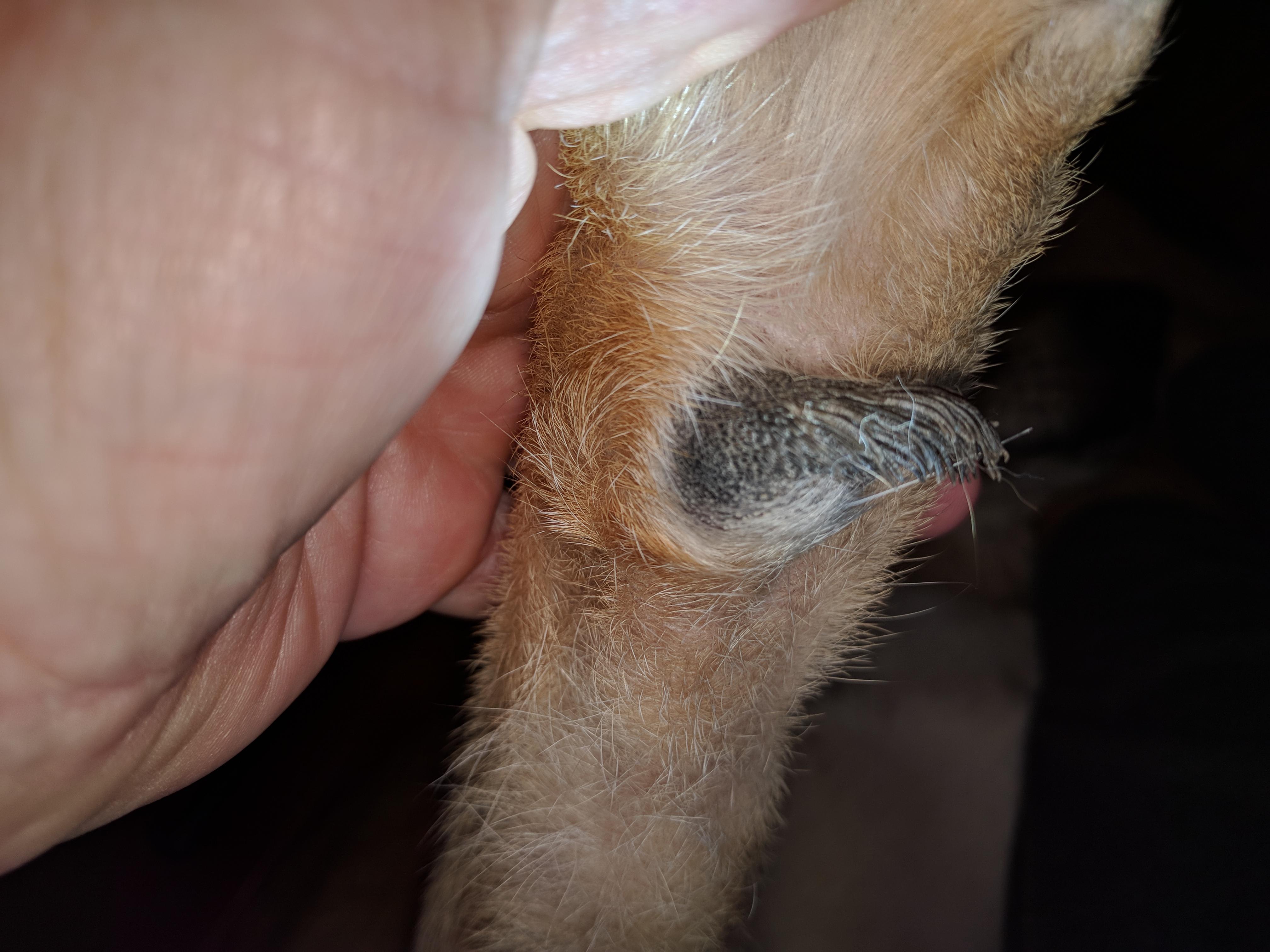 Question details sensitive content