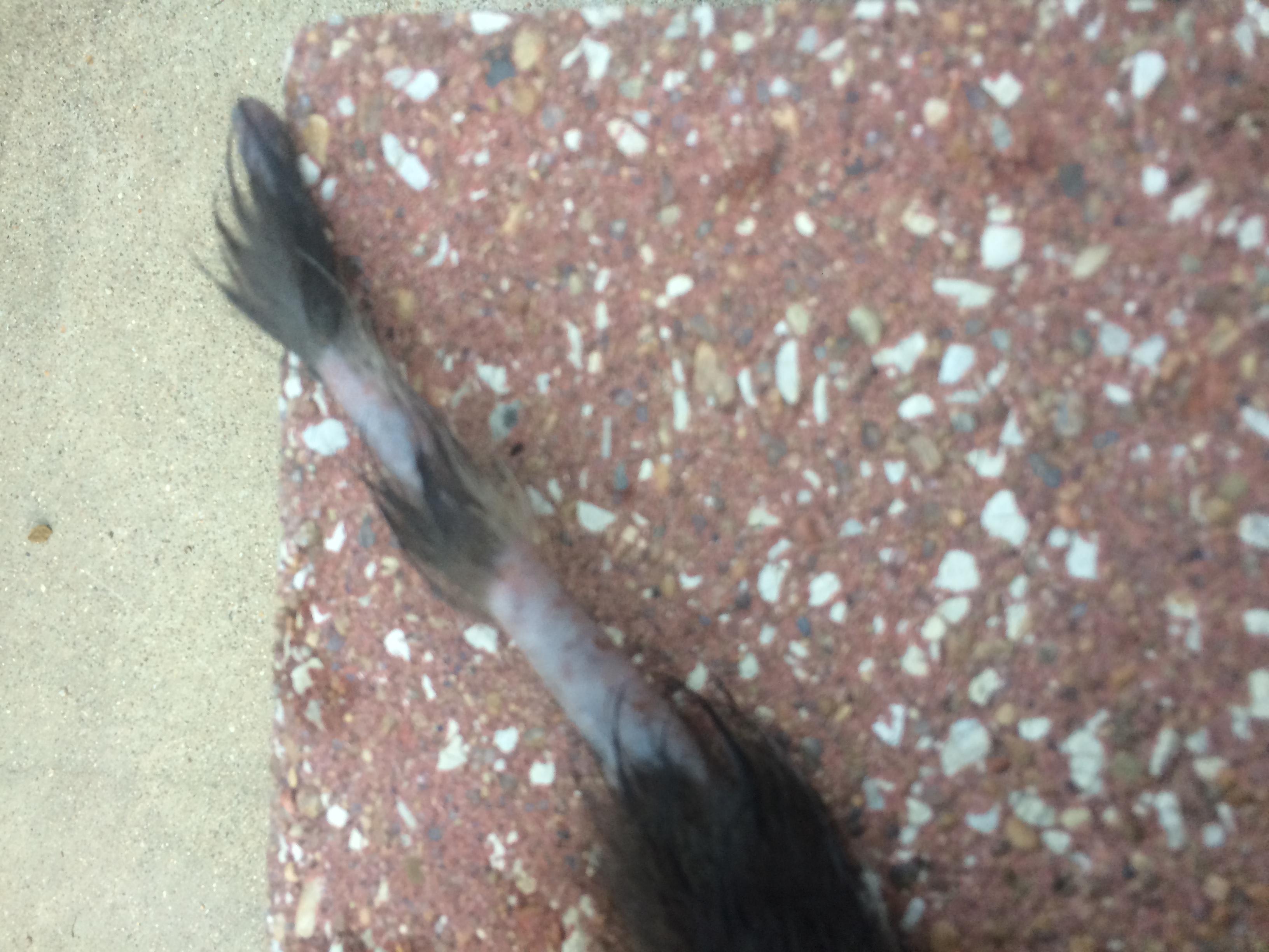 Question details sensitive content