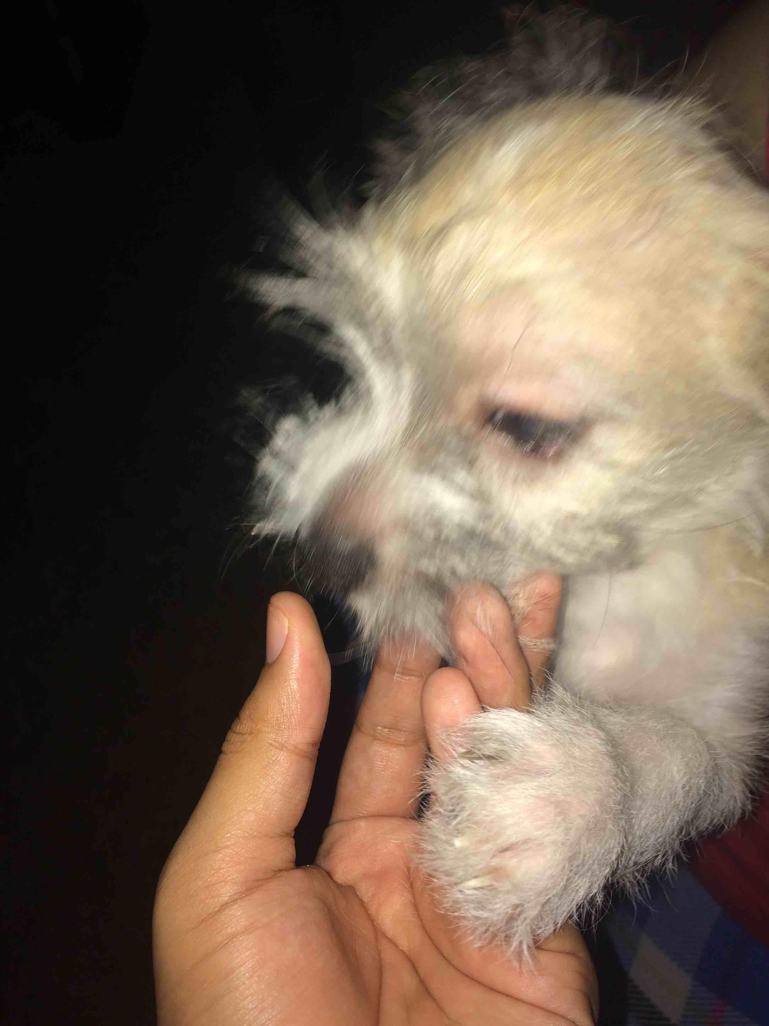 Question details sensitive content