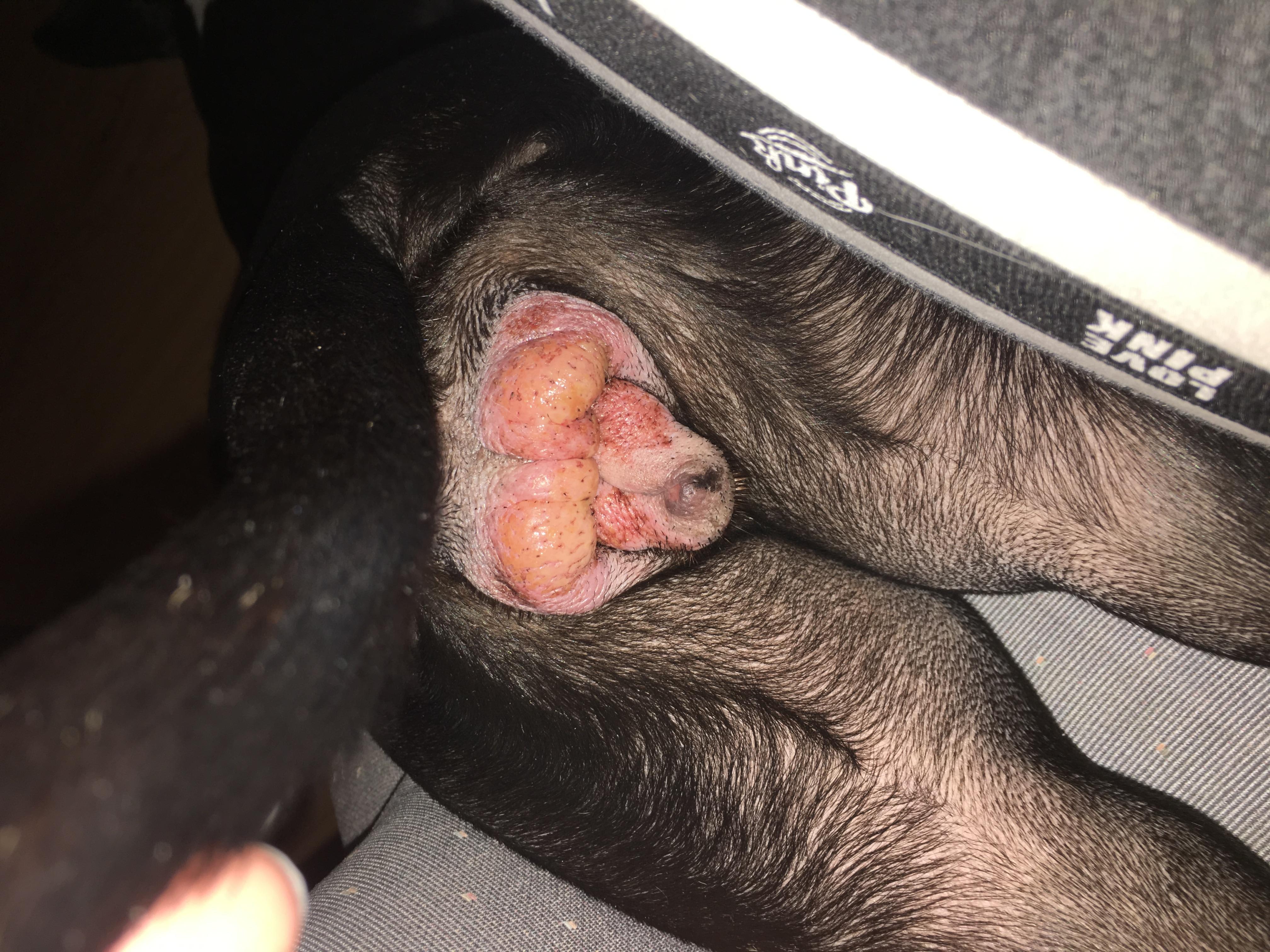 Question details sensitive content