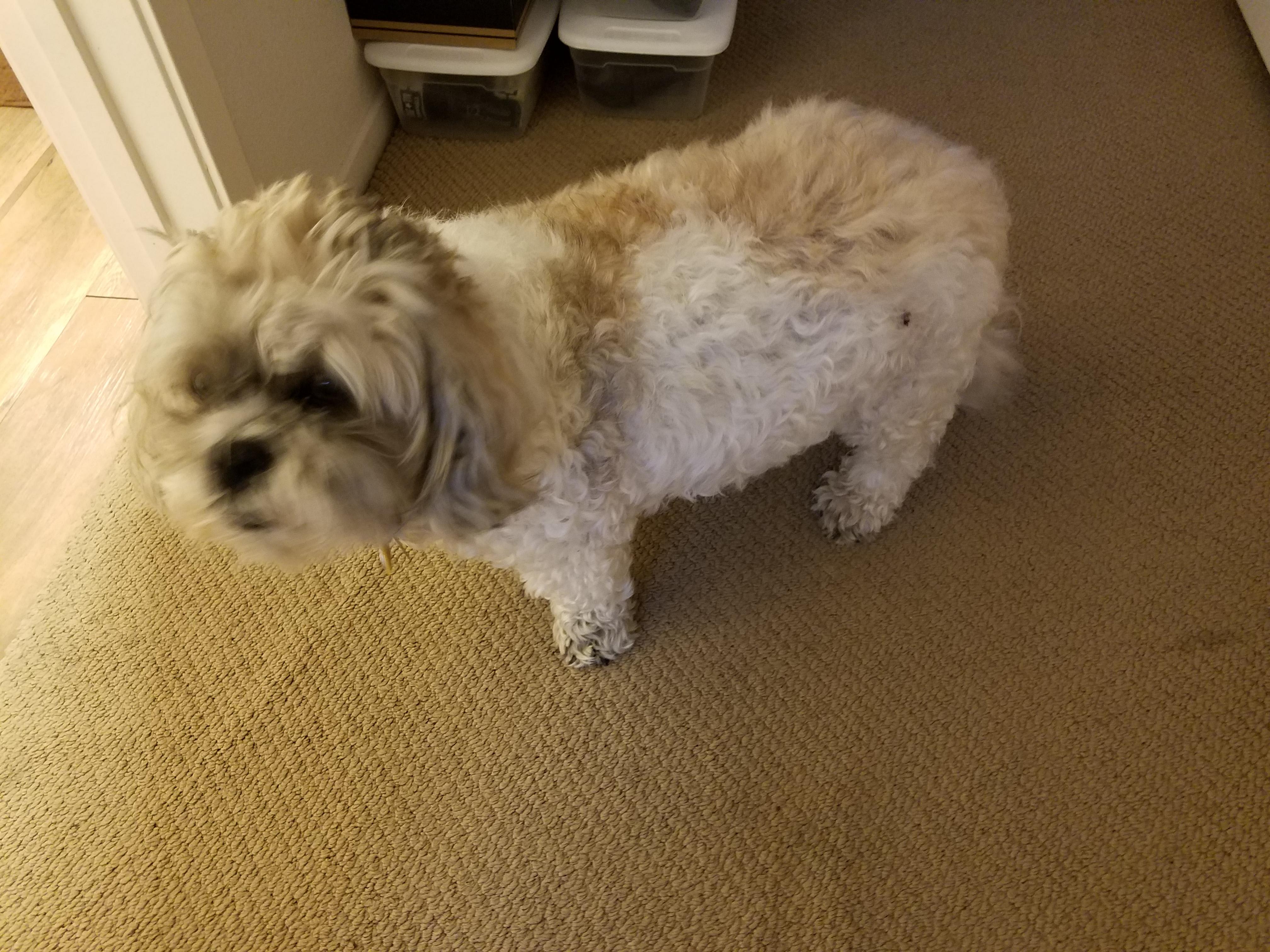 Question details sensitive content