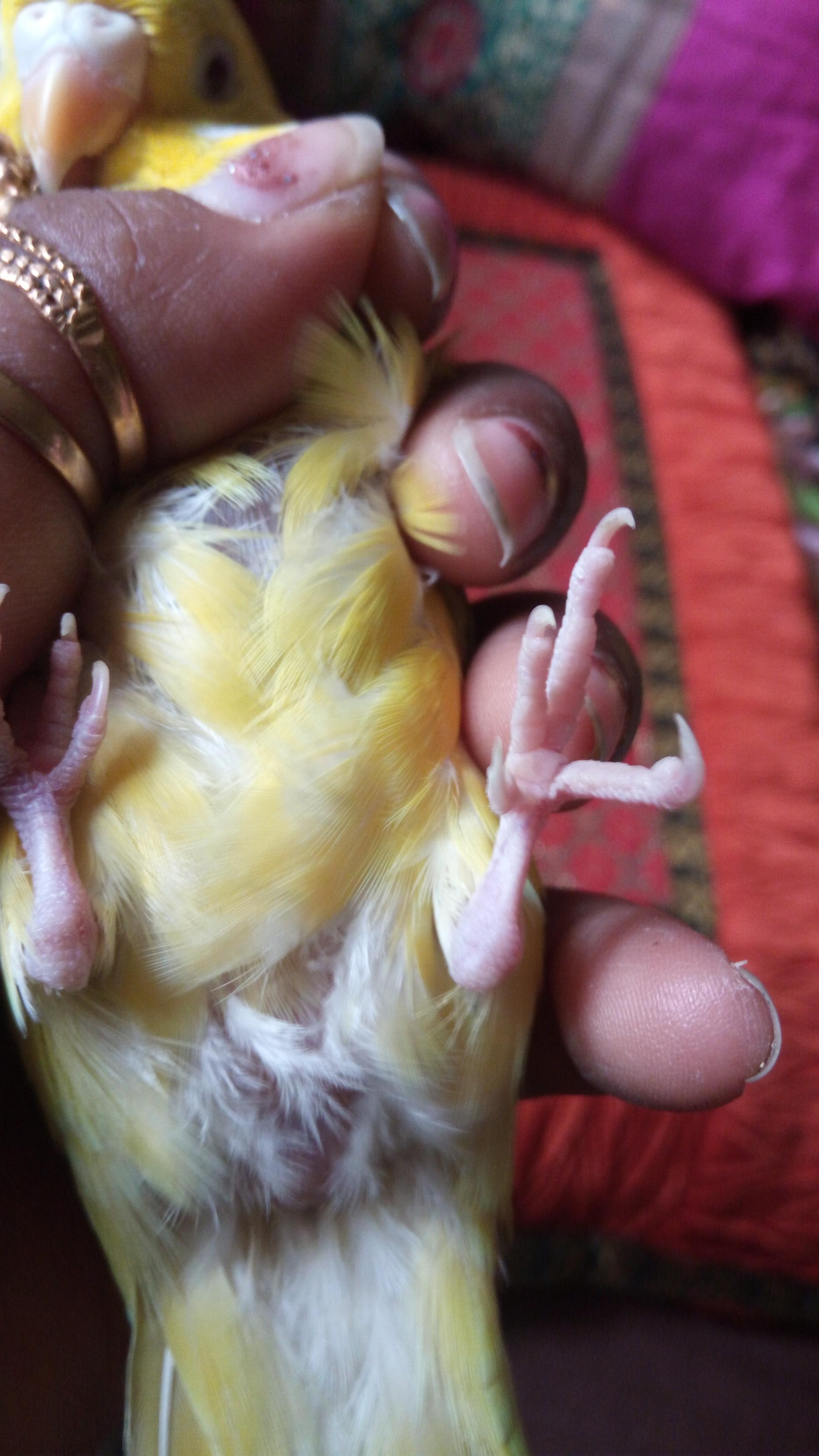 Question details sensitive content