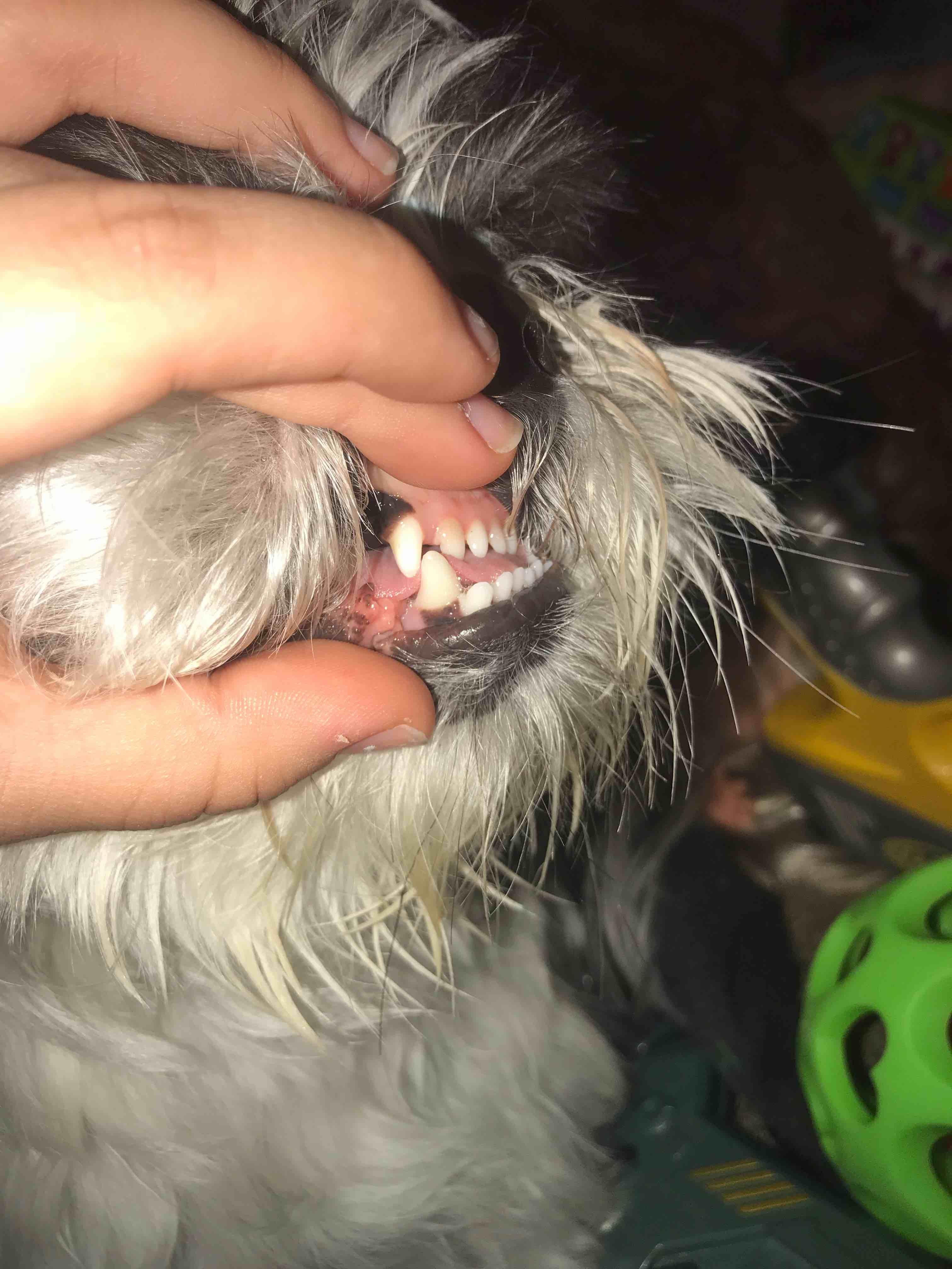 Question details sensitive content