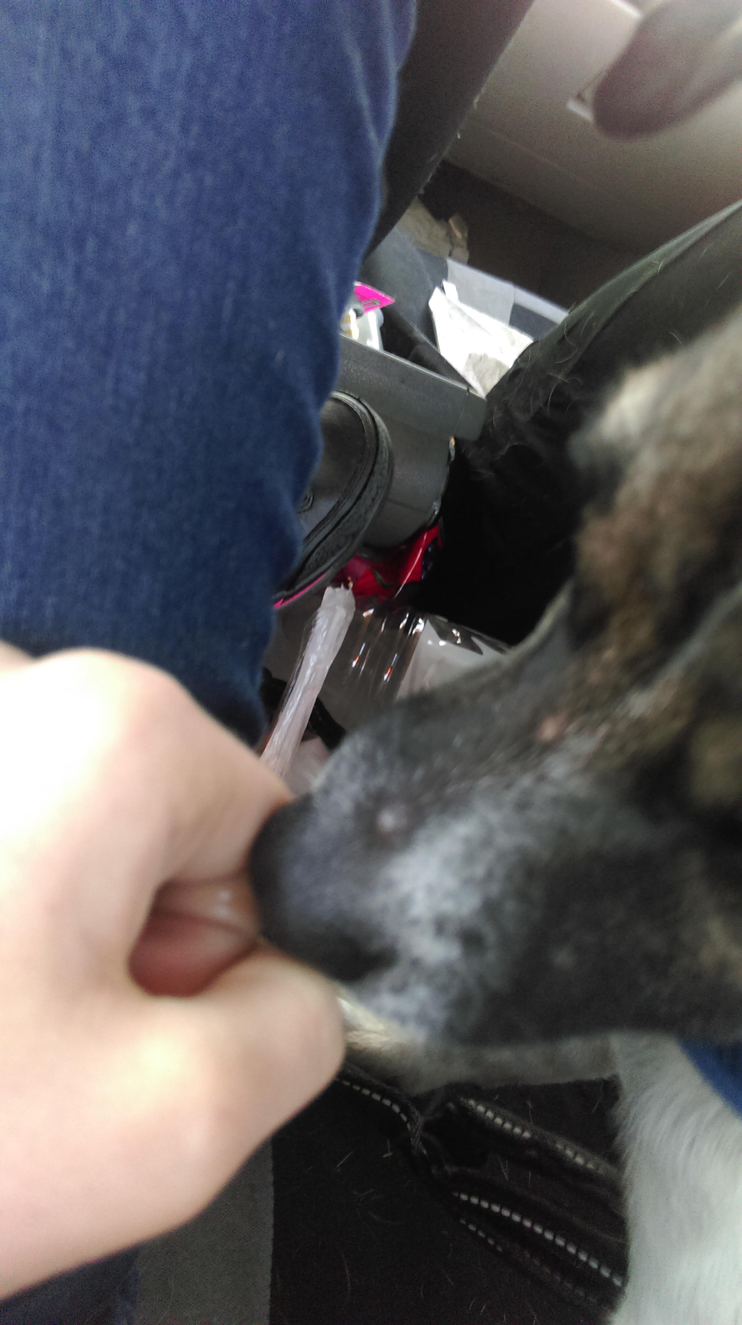 Question details sensitive content