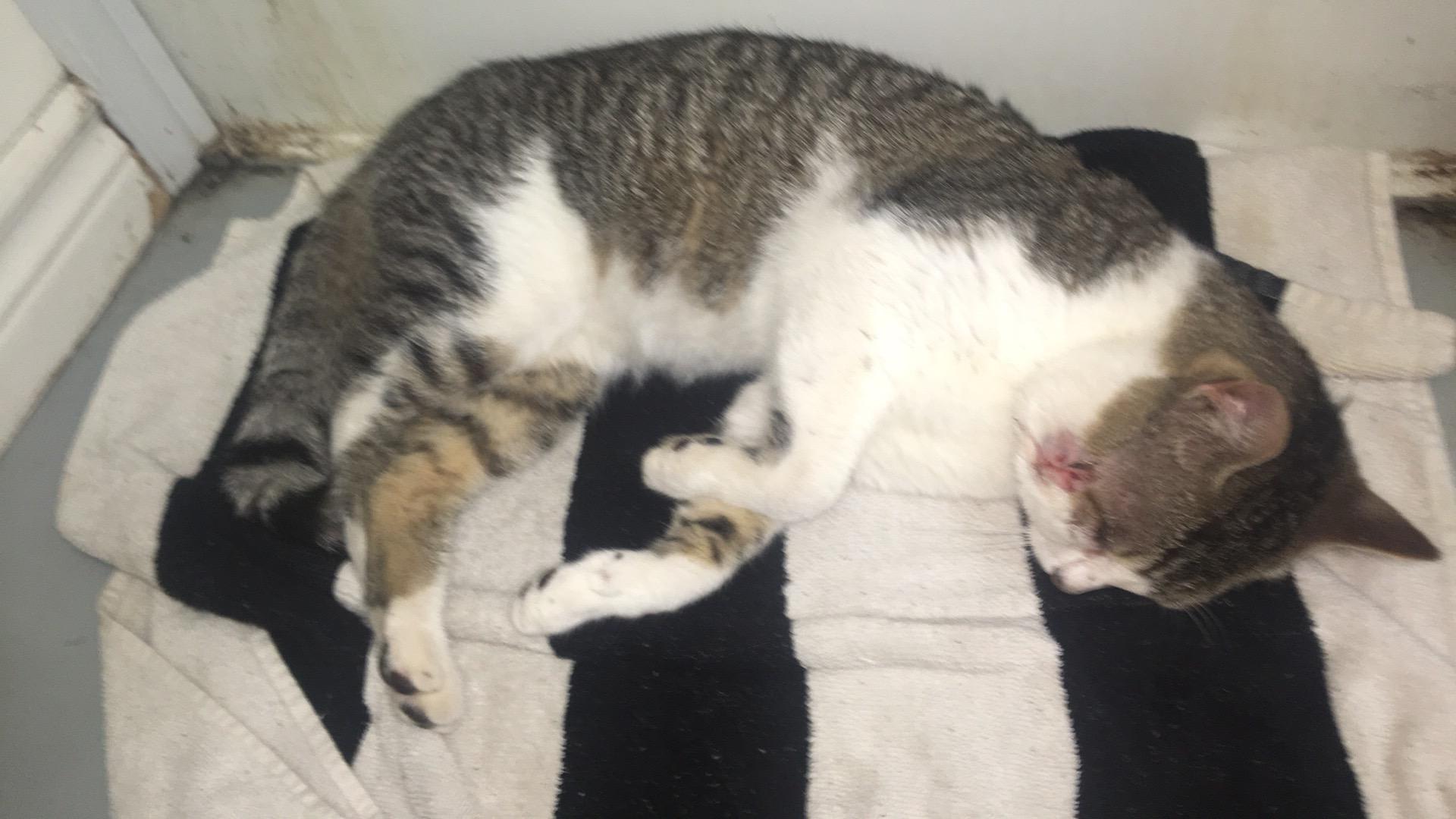 Question details sensitive content