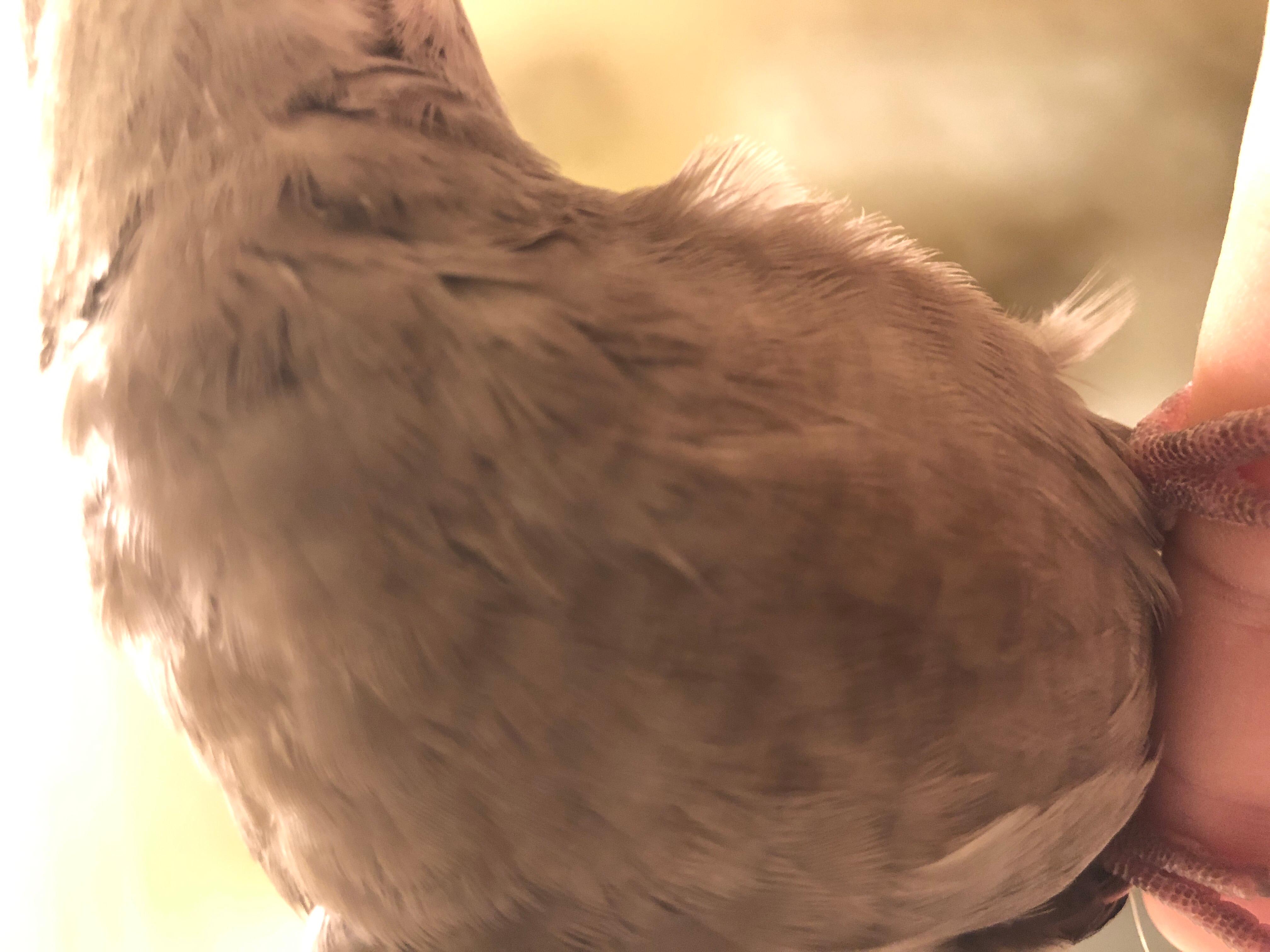 Question details sensitive content