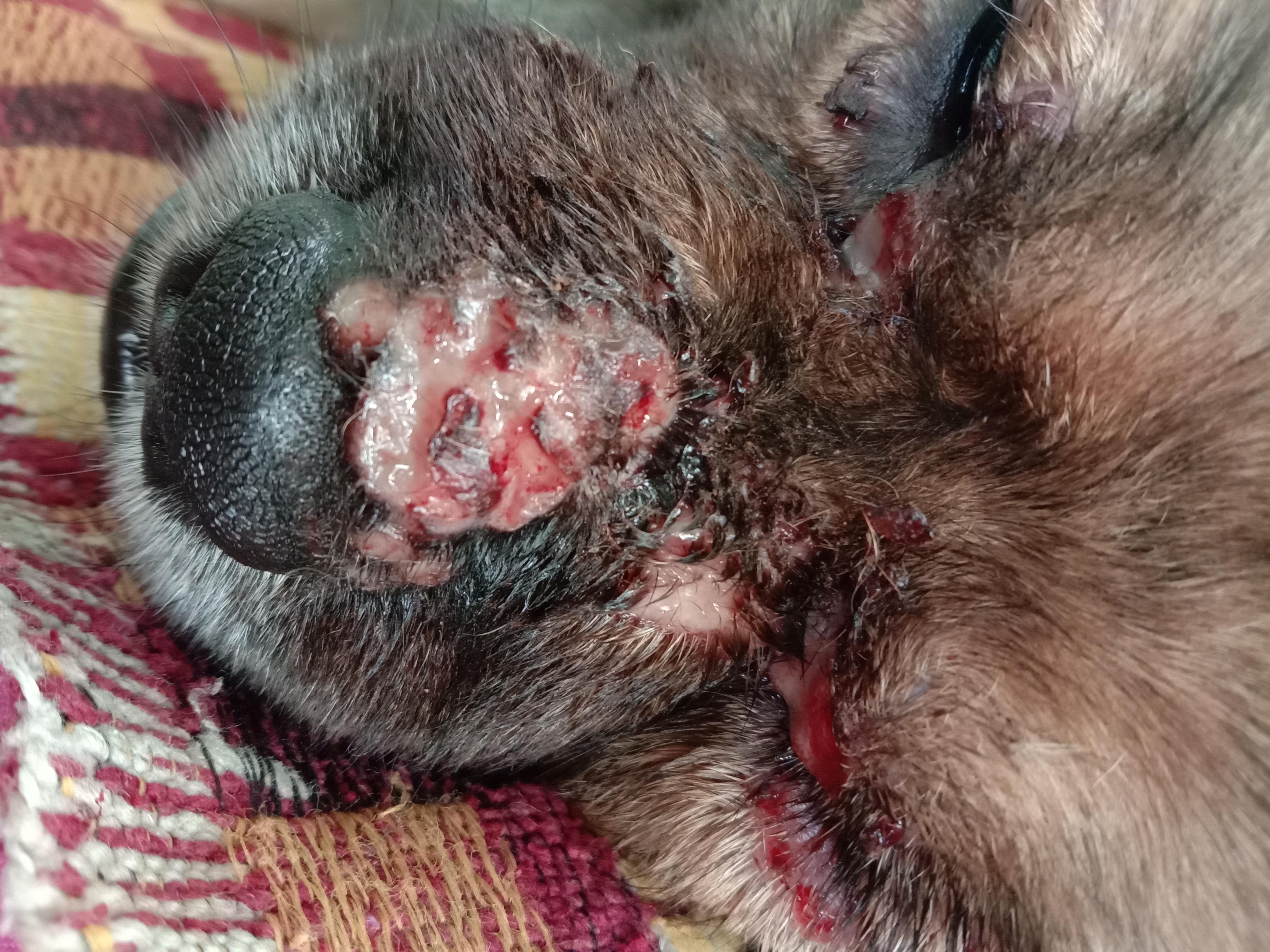 Question details sensitive content