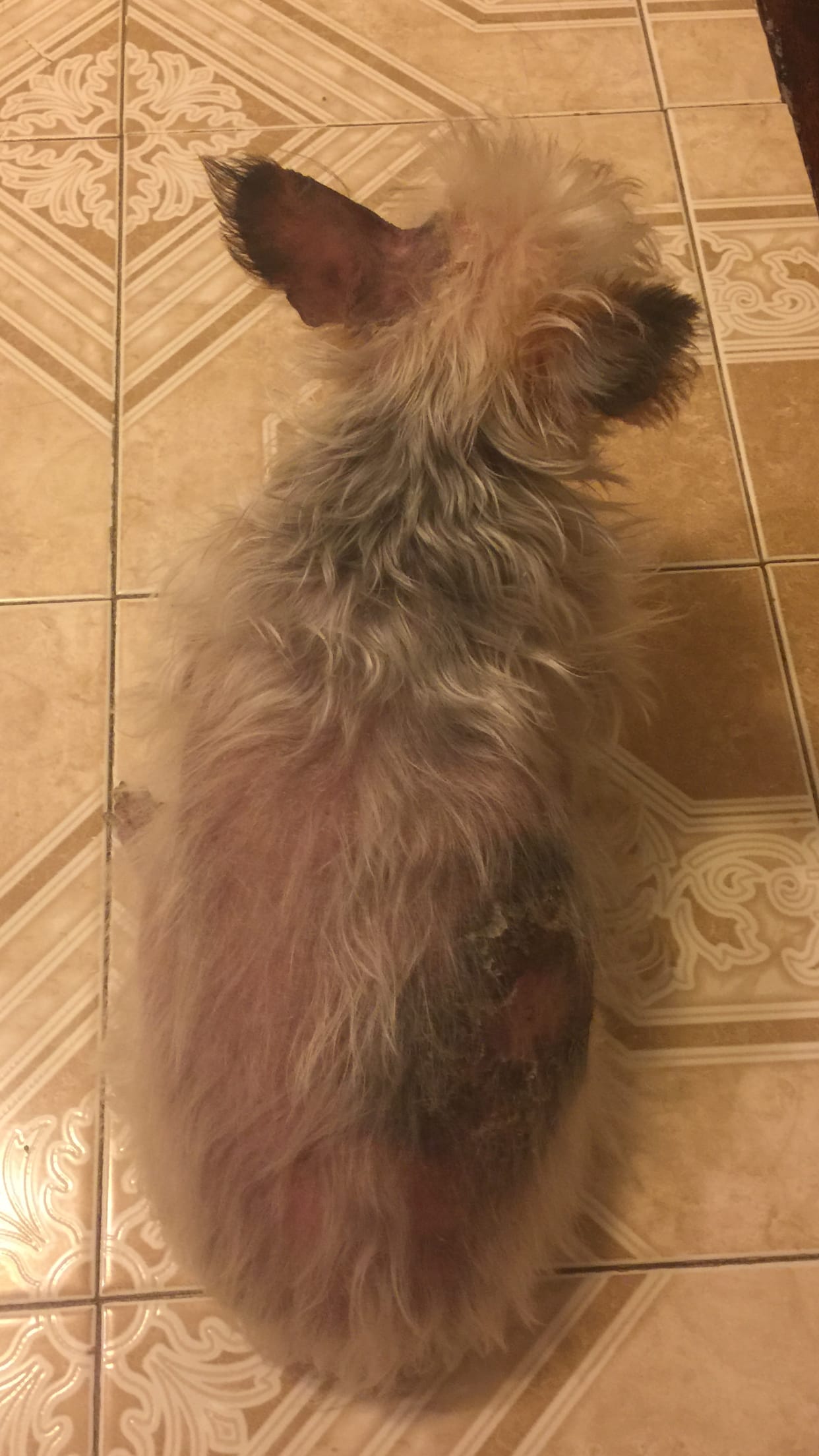 Question details sensitive content