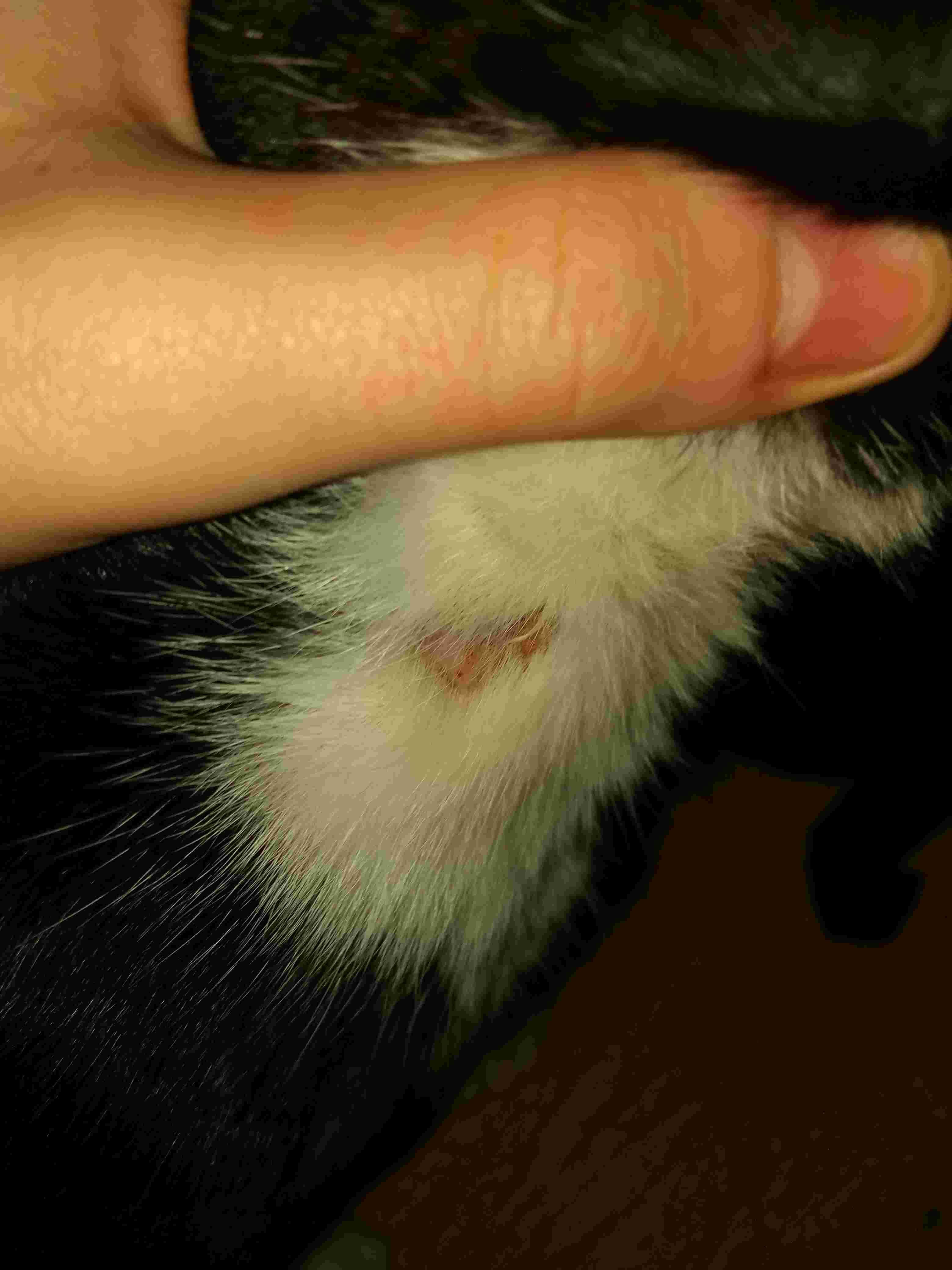 Question details sensitive content