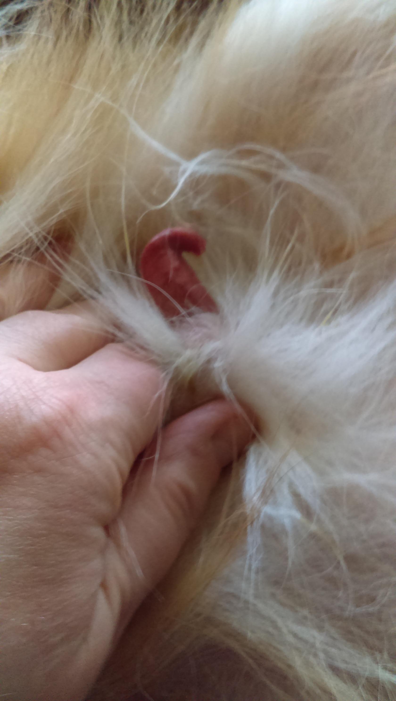 Question details sensitive content