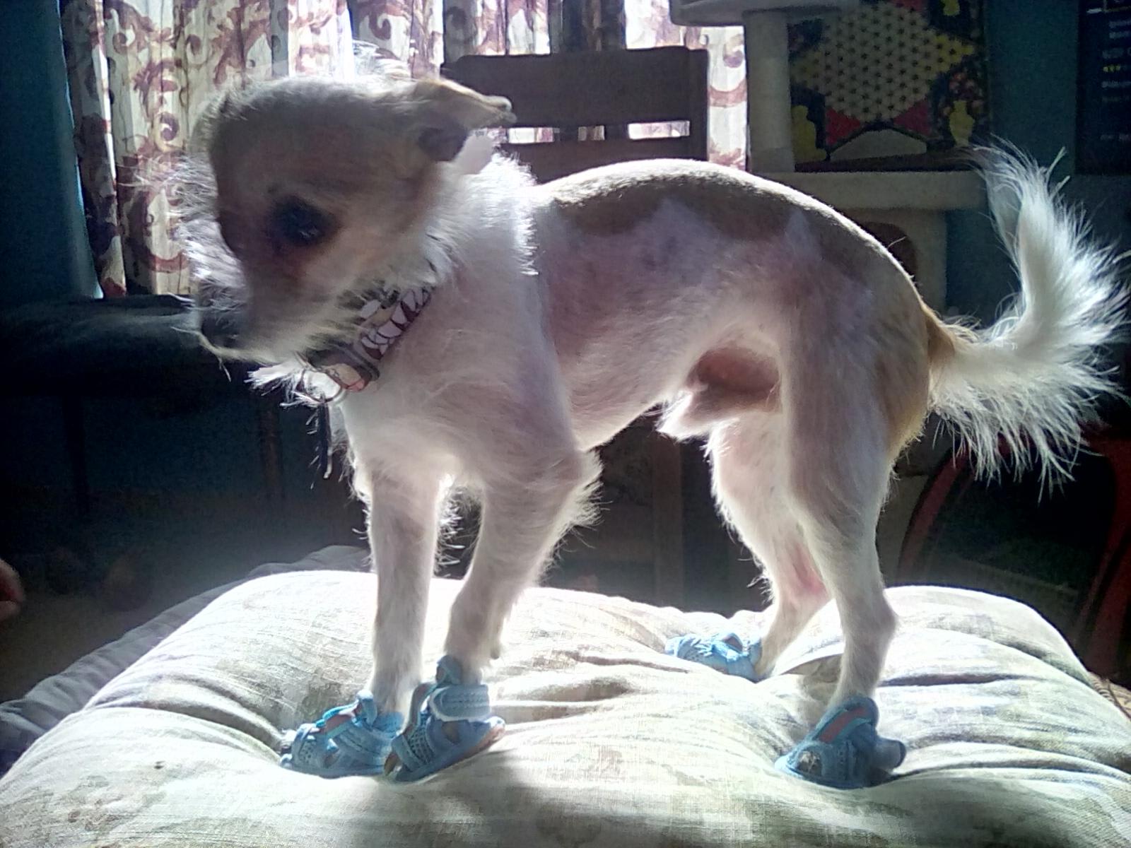 Question details sensitive content