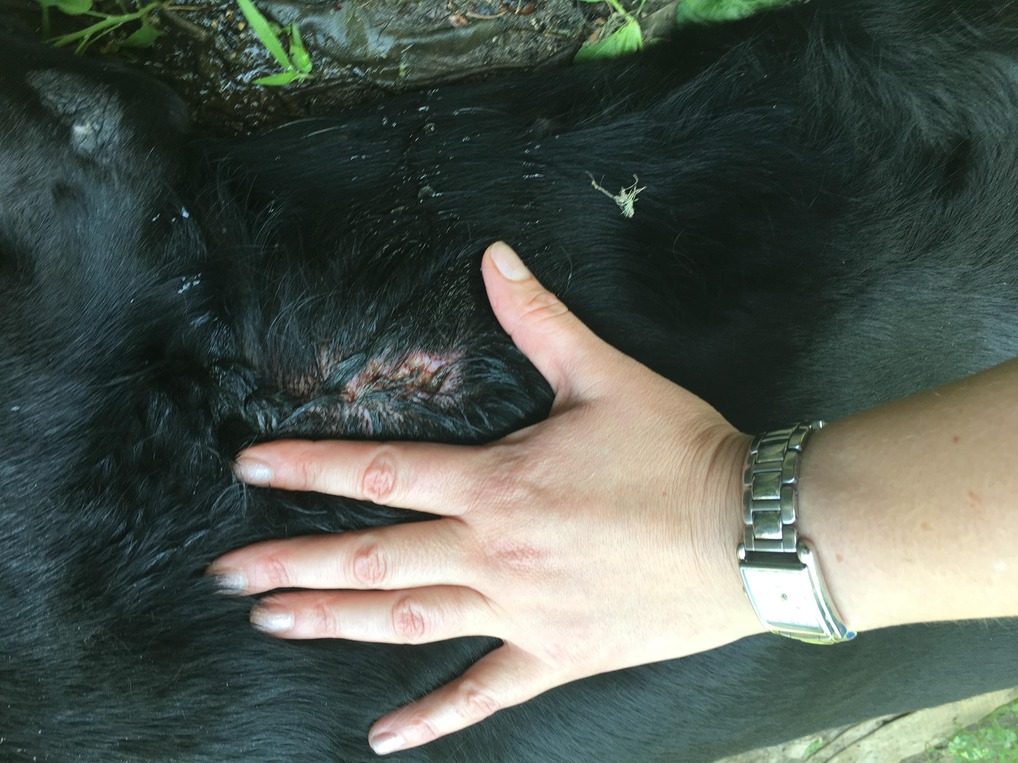 Question details sensitive content